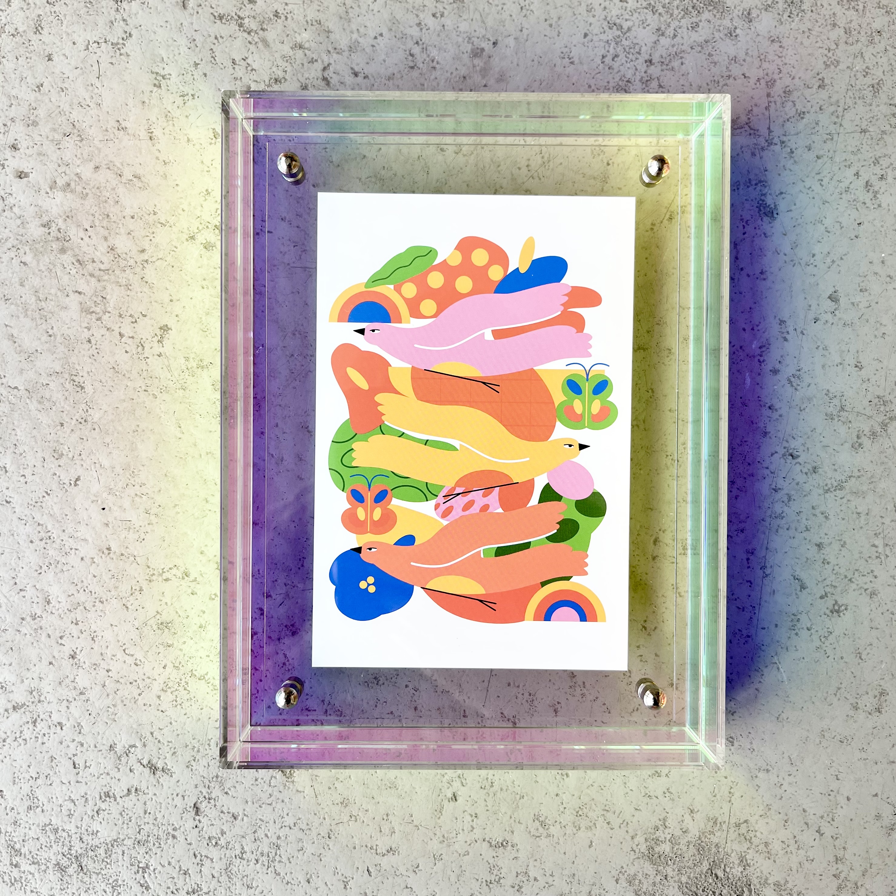 Bilderrahmen Acryl, "Vögel" 10 mal 15cm, clear-rainbow
