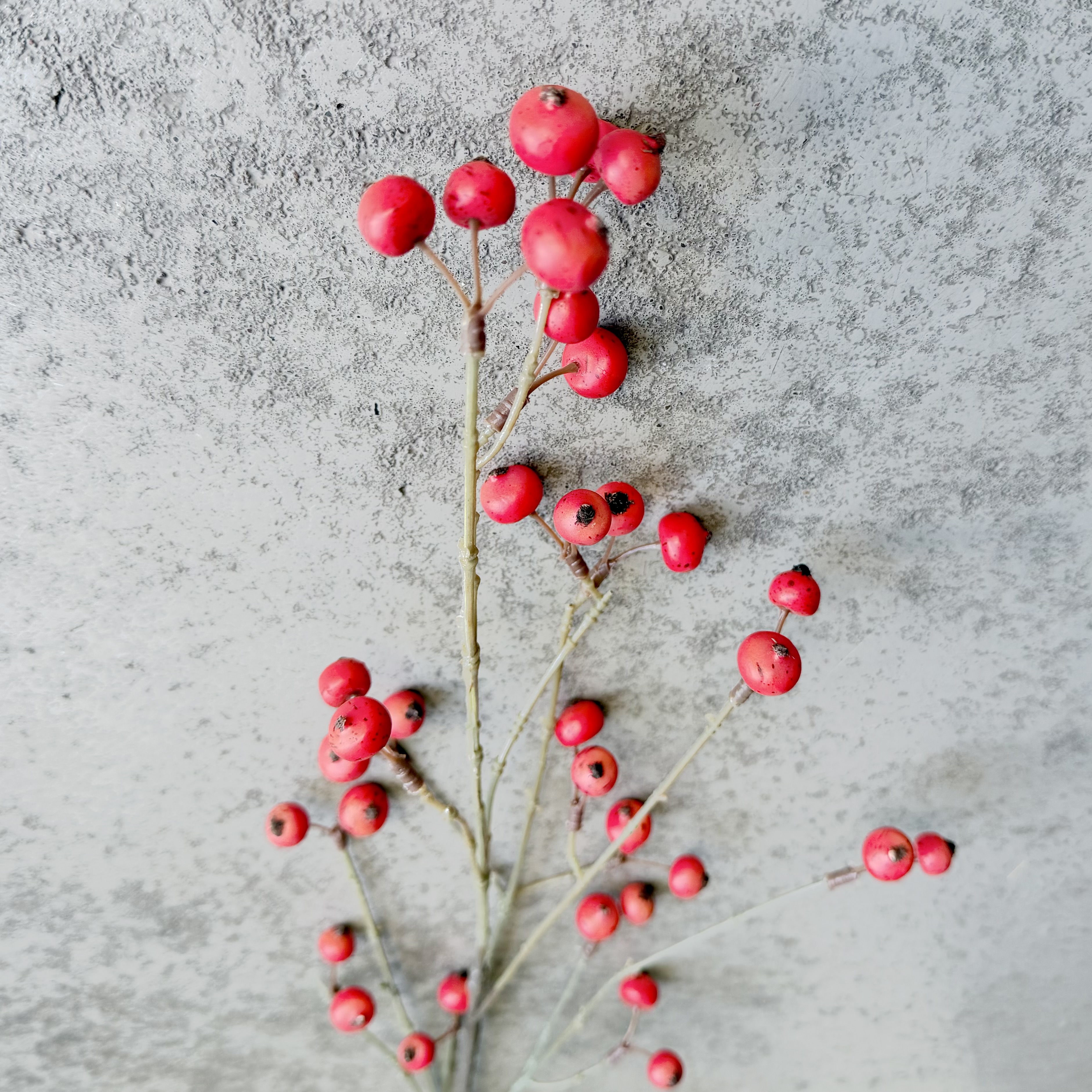 Beerenzweig,90cm, rot