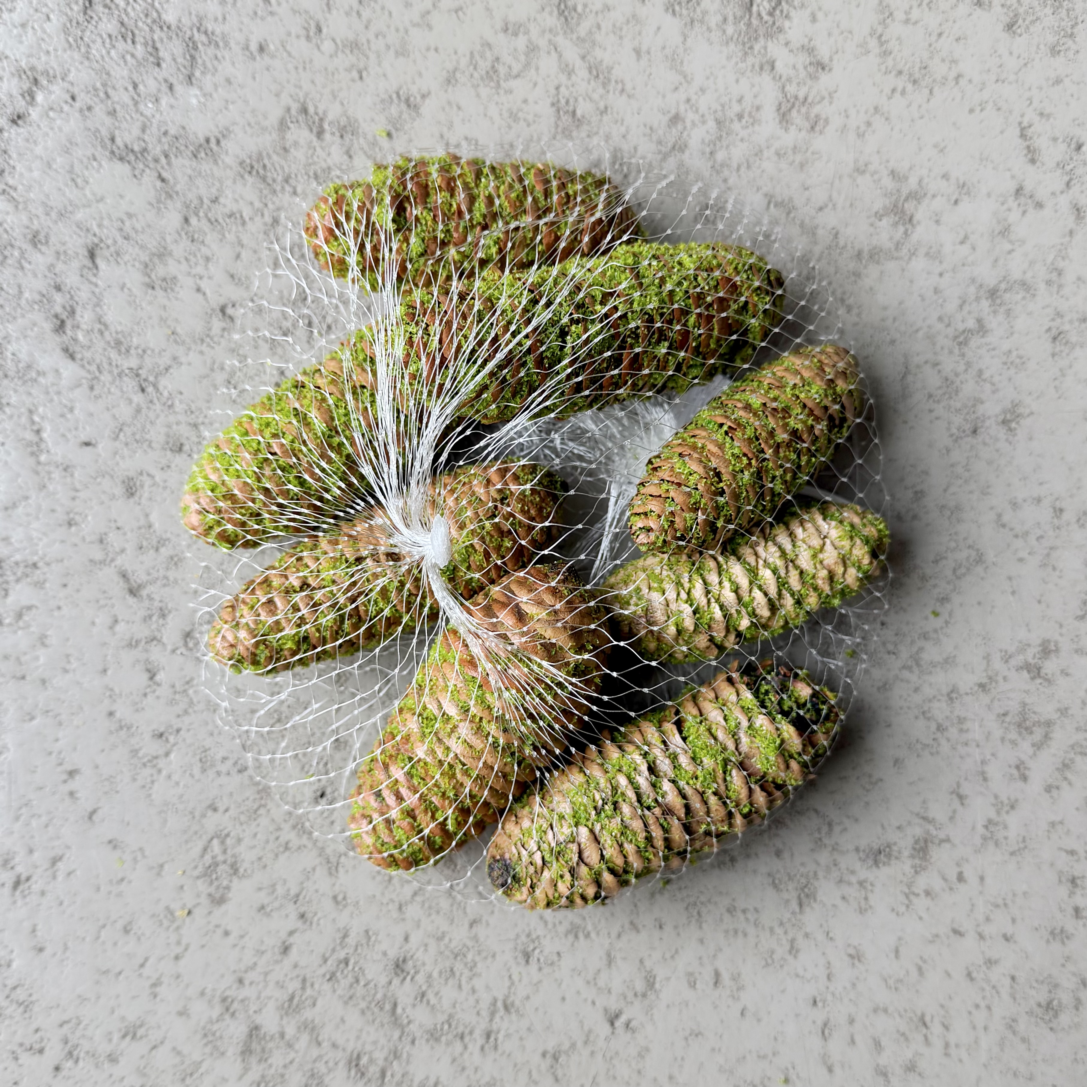 Fichtenzapfen"Ajan"8Netz,8-10cm, grün