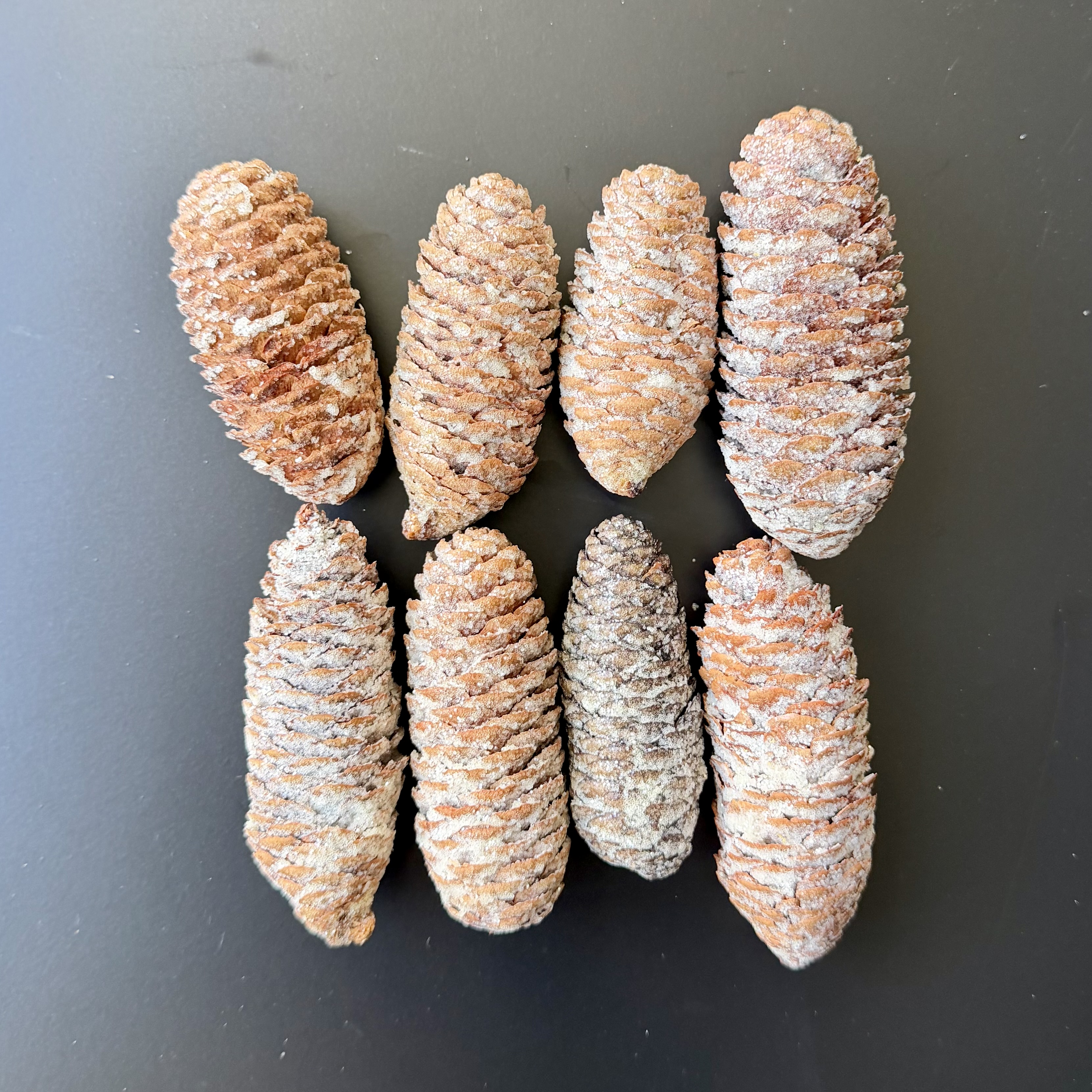Fichtenzapfen"Ajan"8Netz,8-10cm, weiß