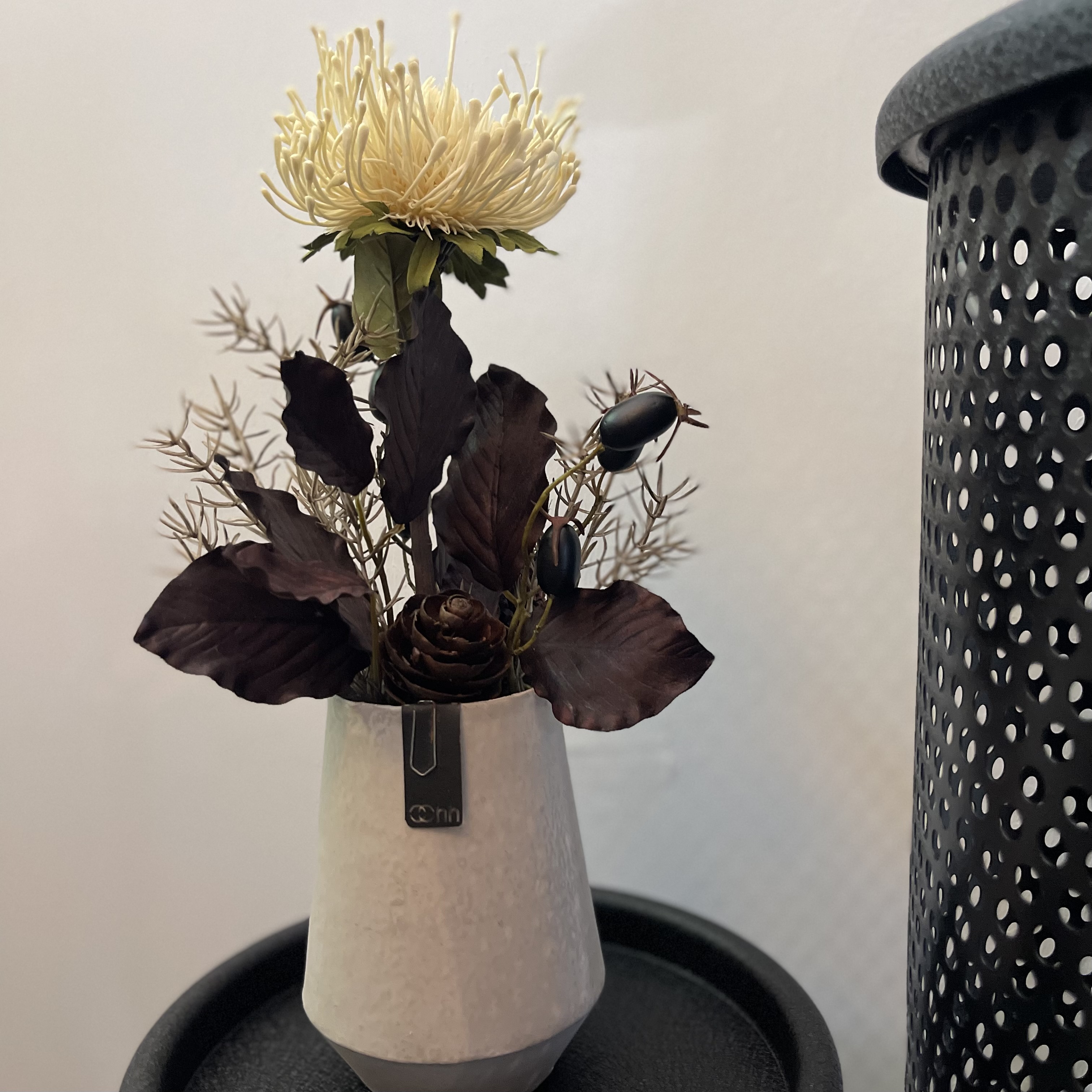Protea Topf