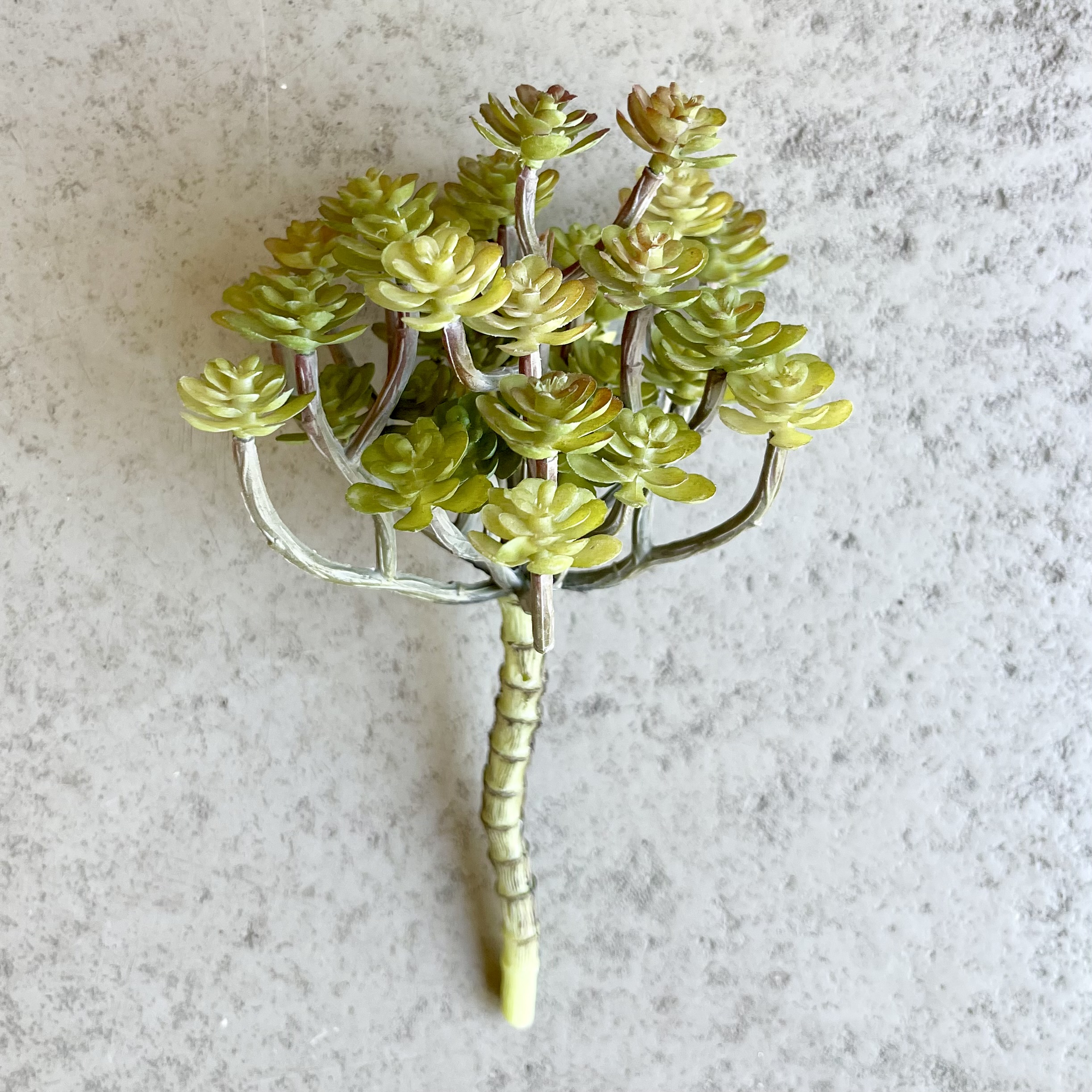 Sukkulente"Zag",L19cm, grün