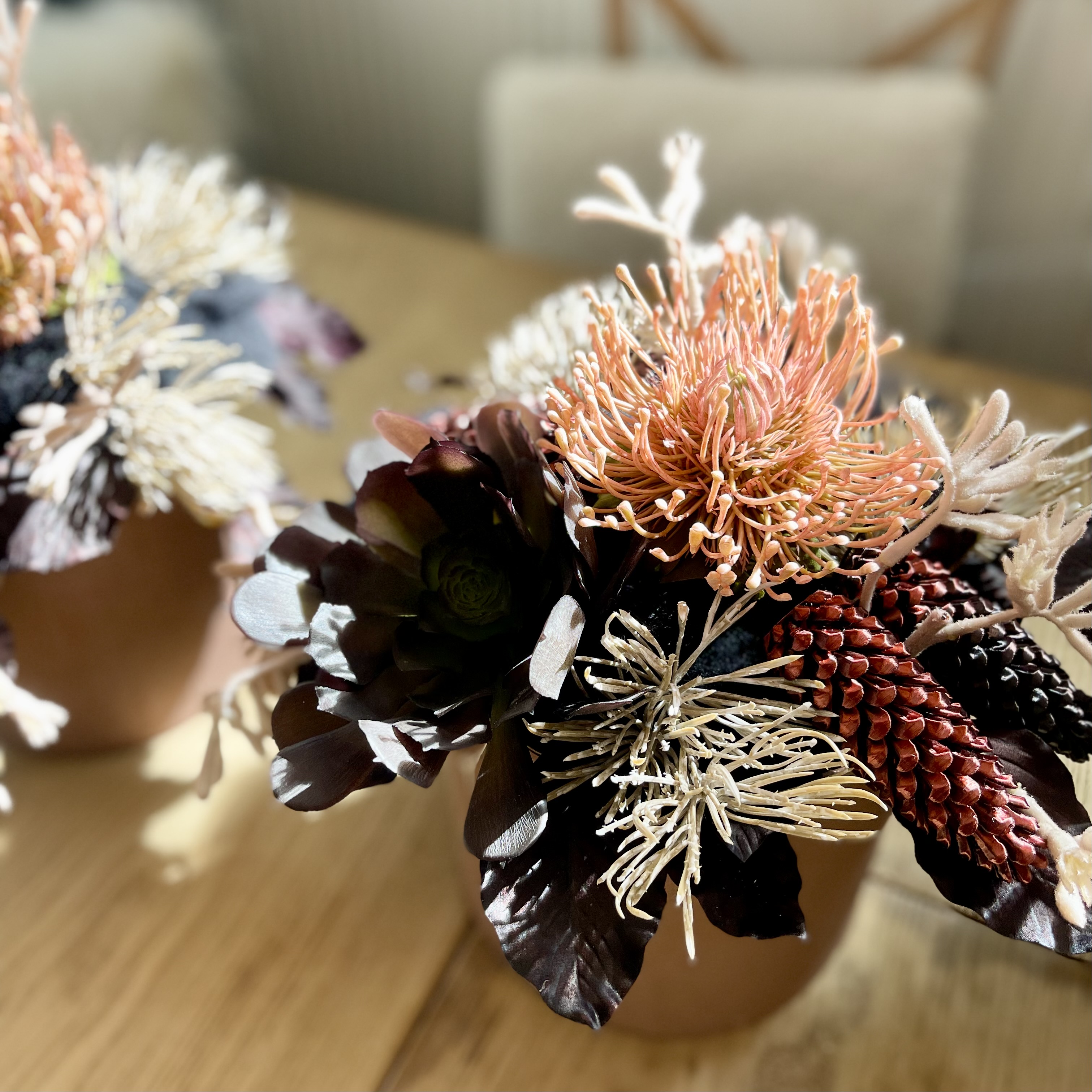 Protea Topf Terra