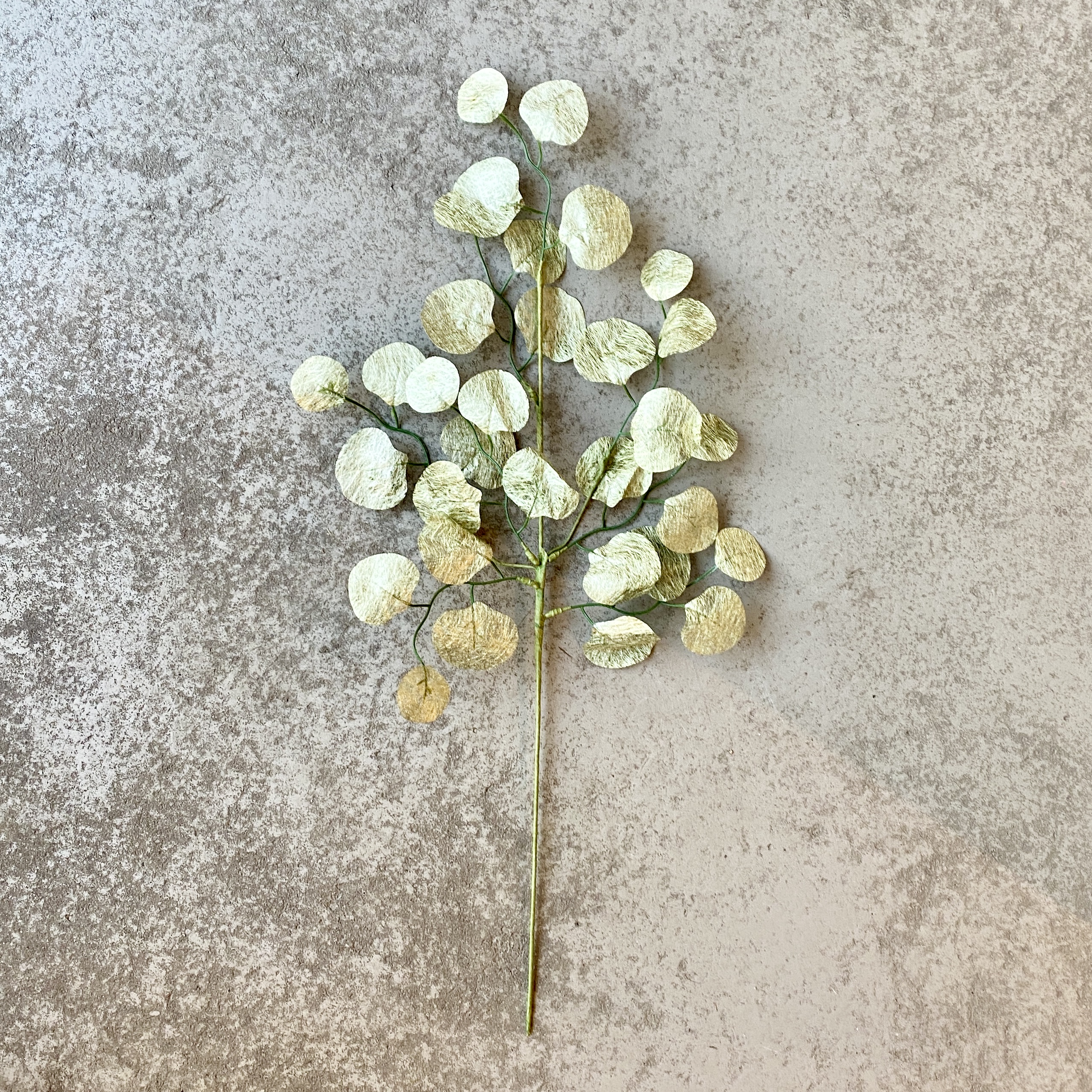 Lunaria-Zweig "Sabi" L67cm, grün