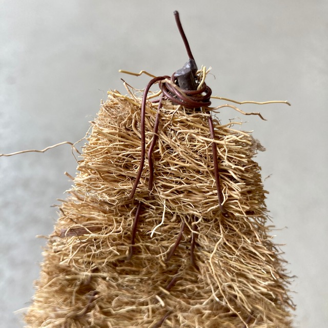 IMG_6686wDEqseINJECtp