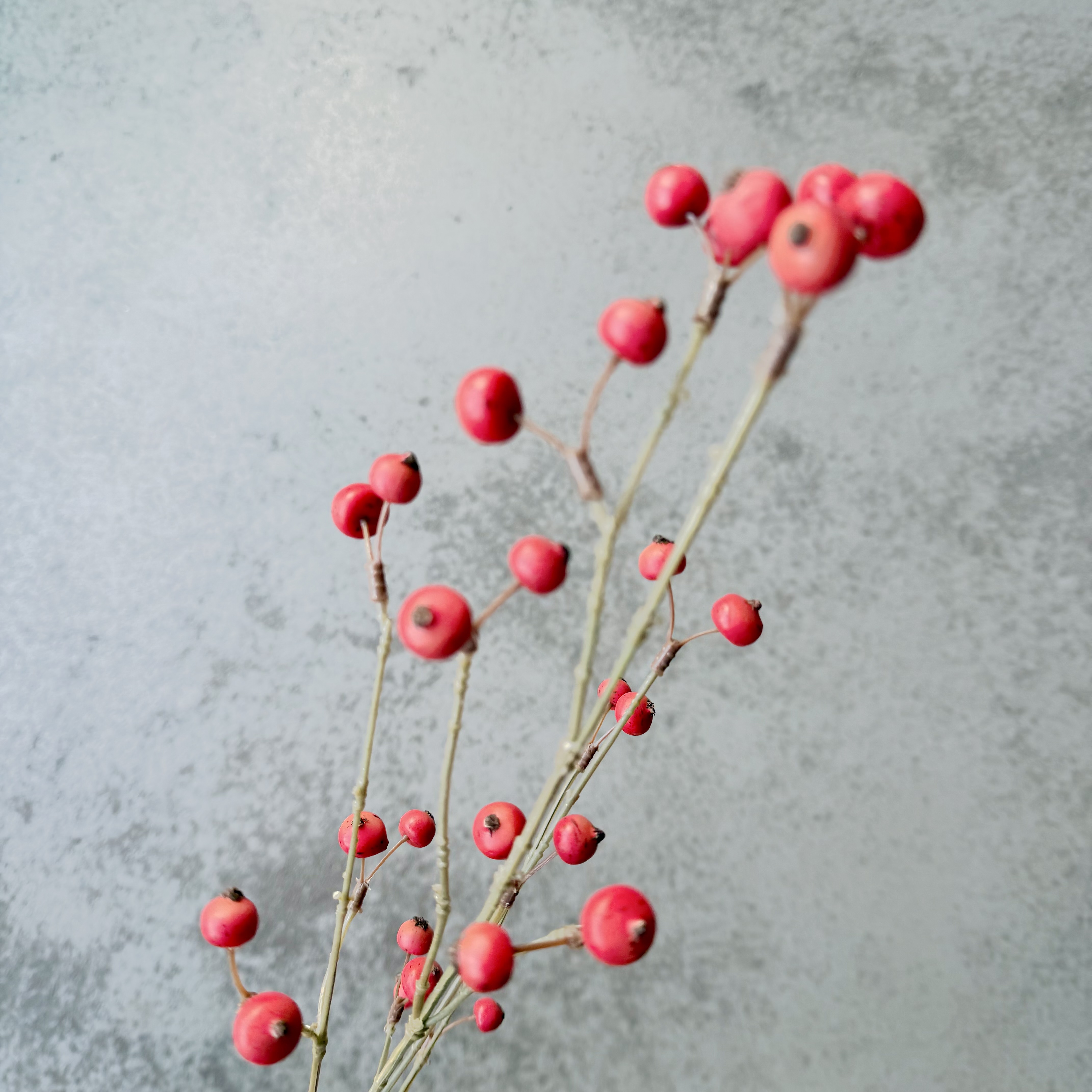 Beerenzweig,90cm, rot