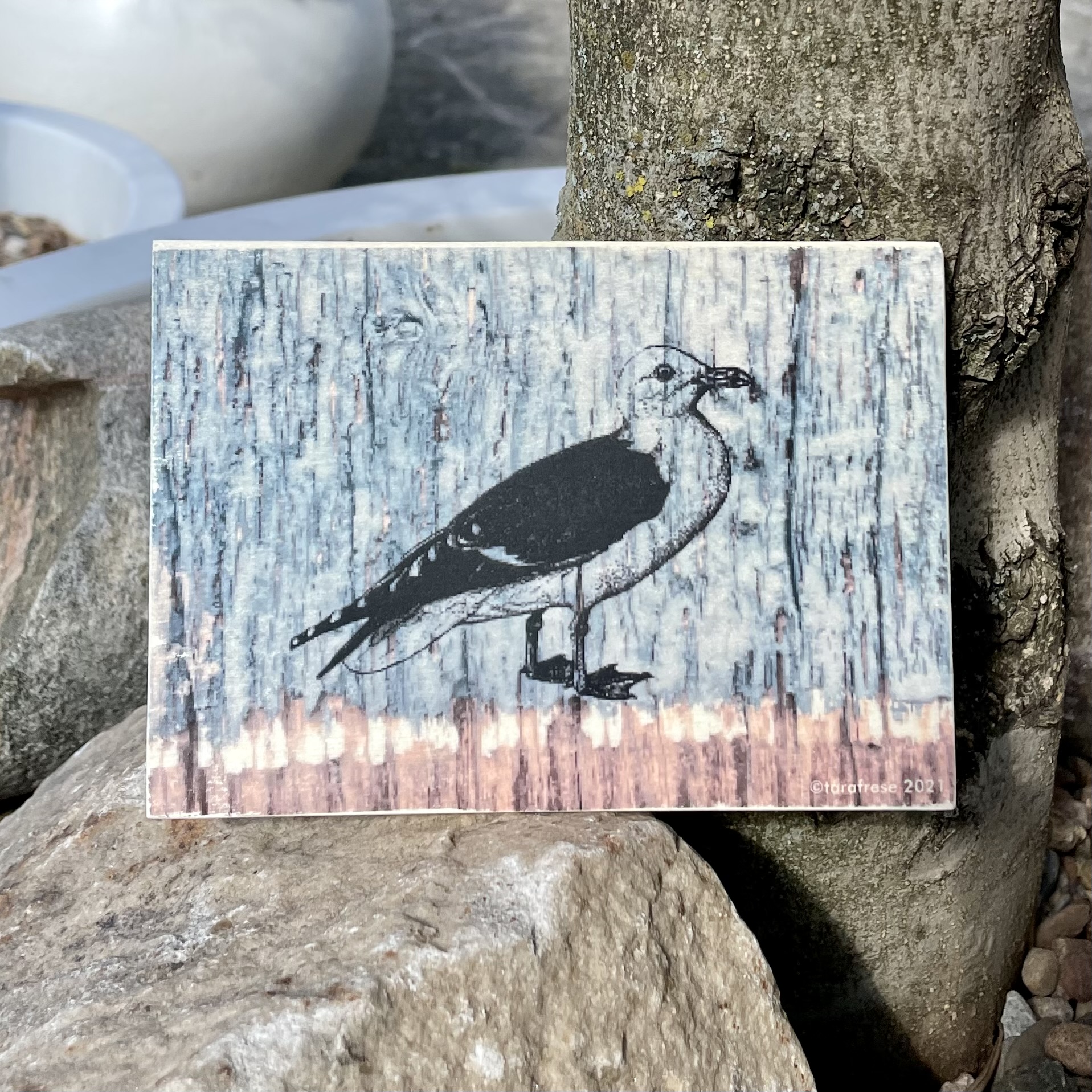 Holzbild/Postkarte "Möwe" natur/graublau 10x15cm