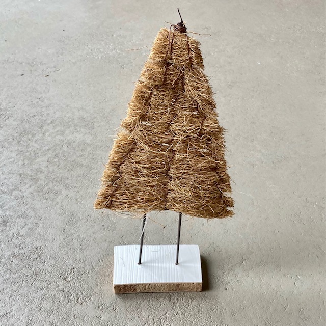 IMG_6684jNiP7b8RKQ7Y7