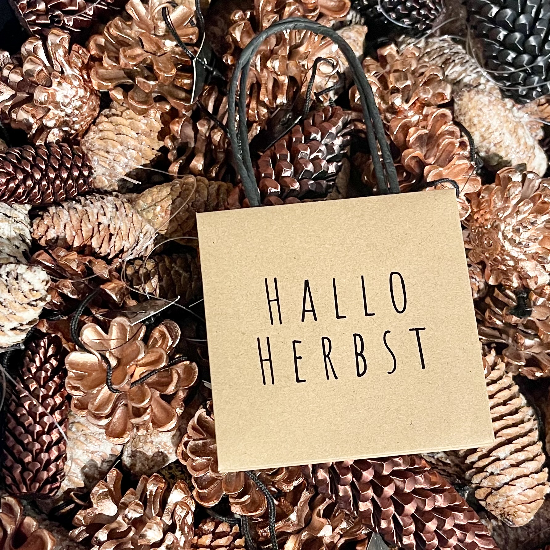 Tüte "Hallo Herbst" m