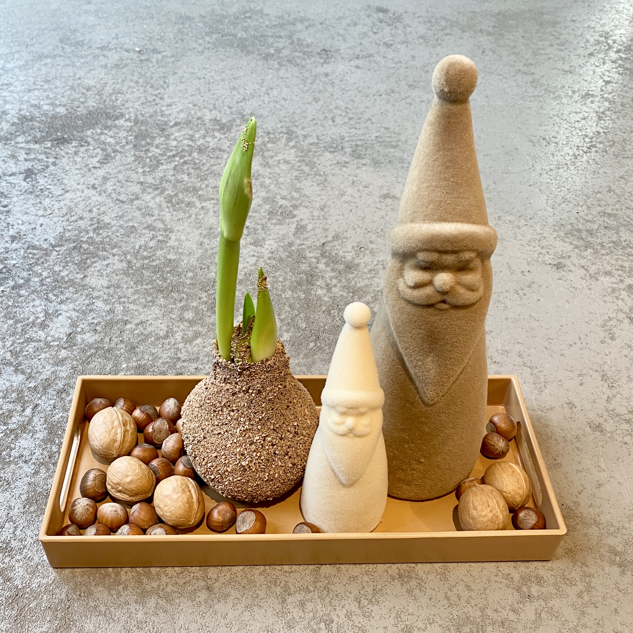 Kleiner Wintergruß camel, beige