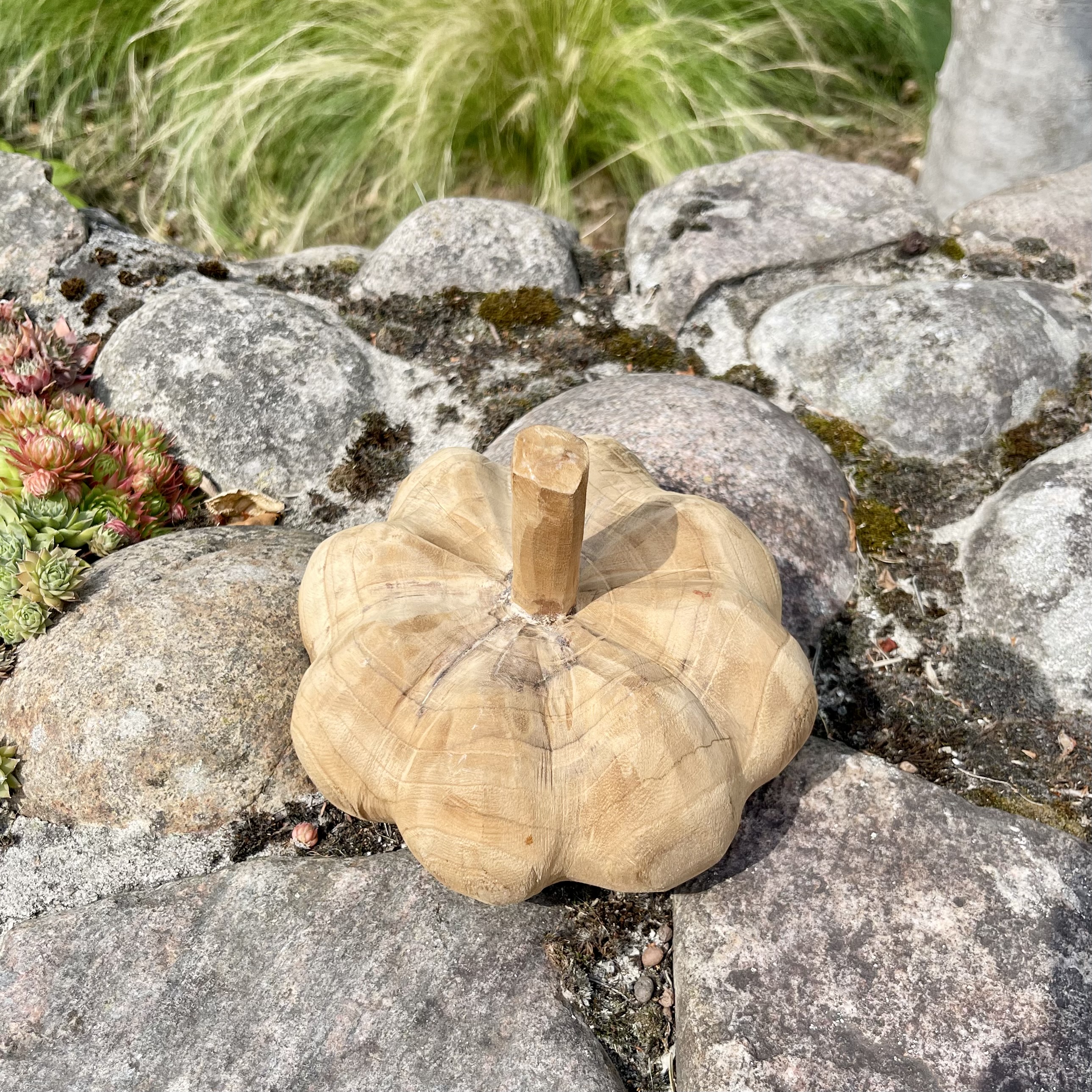Holz-Kürbis Teak, H15cm, B20cm