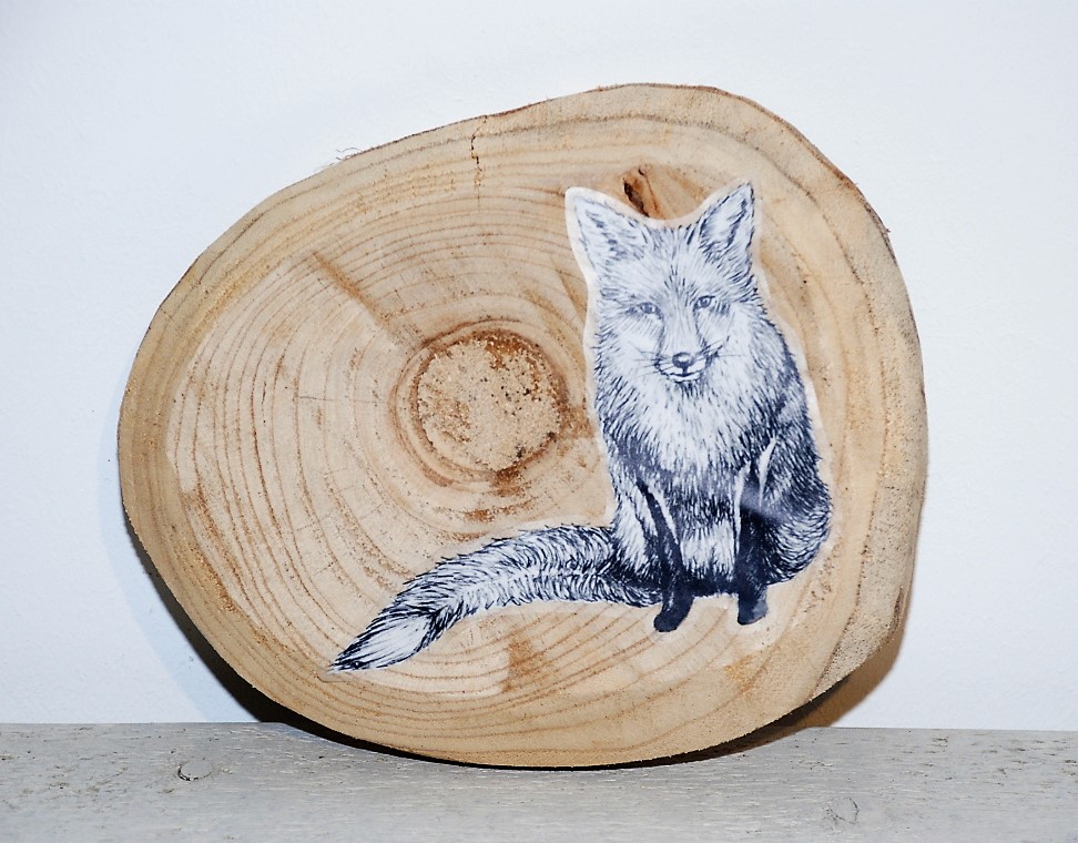 DSC_0201RUbXGTr2mSrzJ