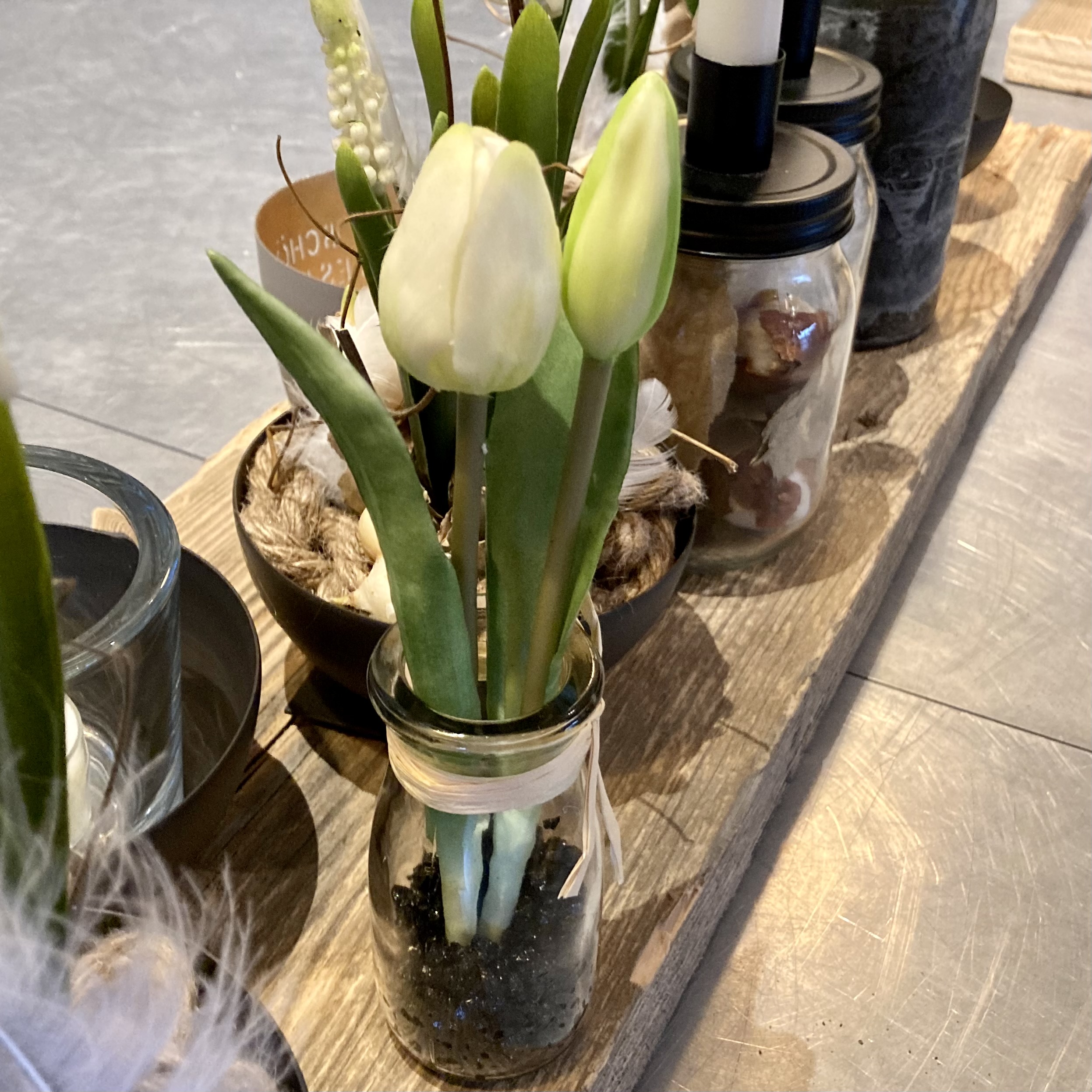 Tulpe