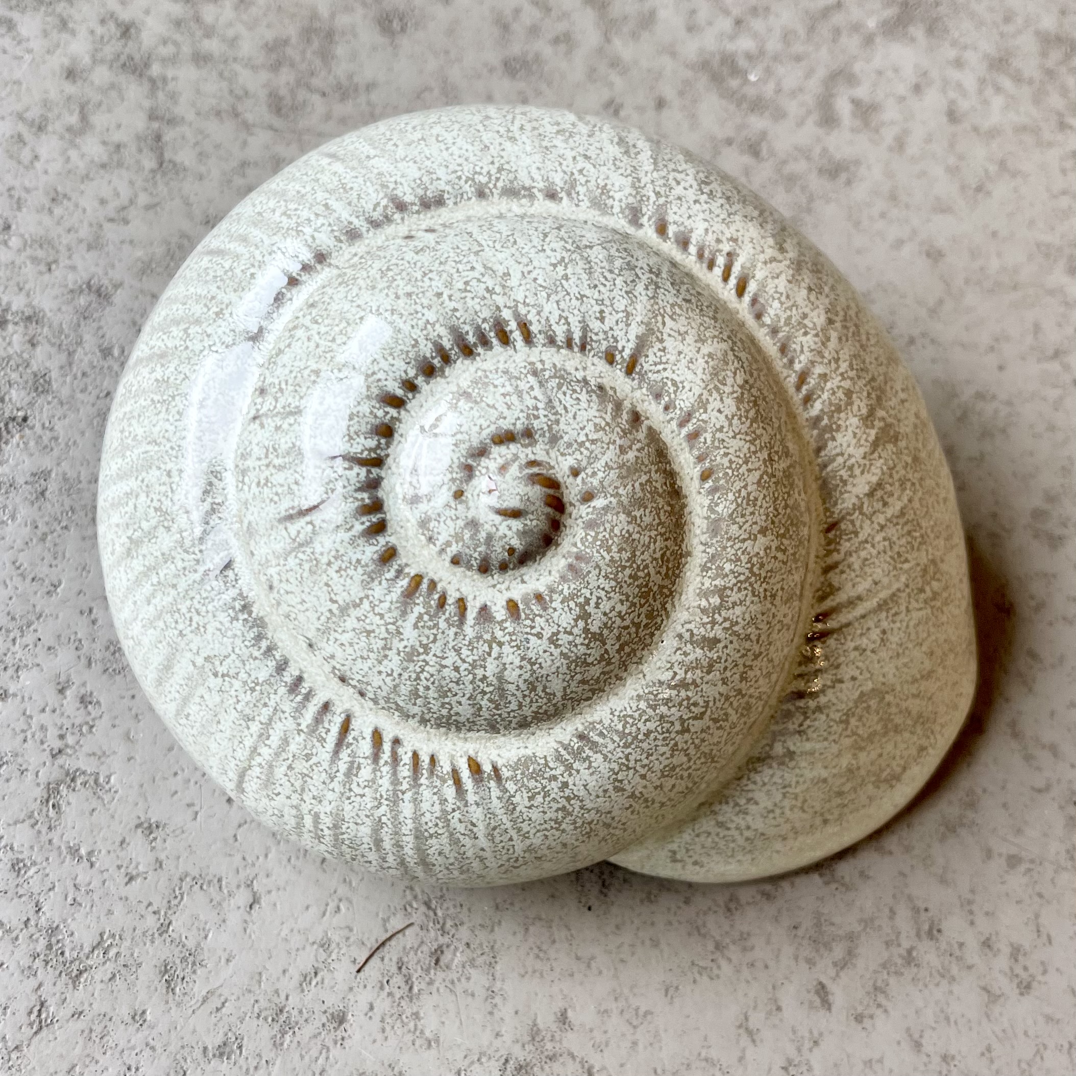 Ker.Muschel"Merle",D13H9cm, salbei