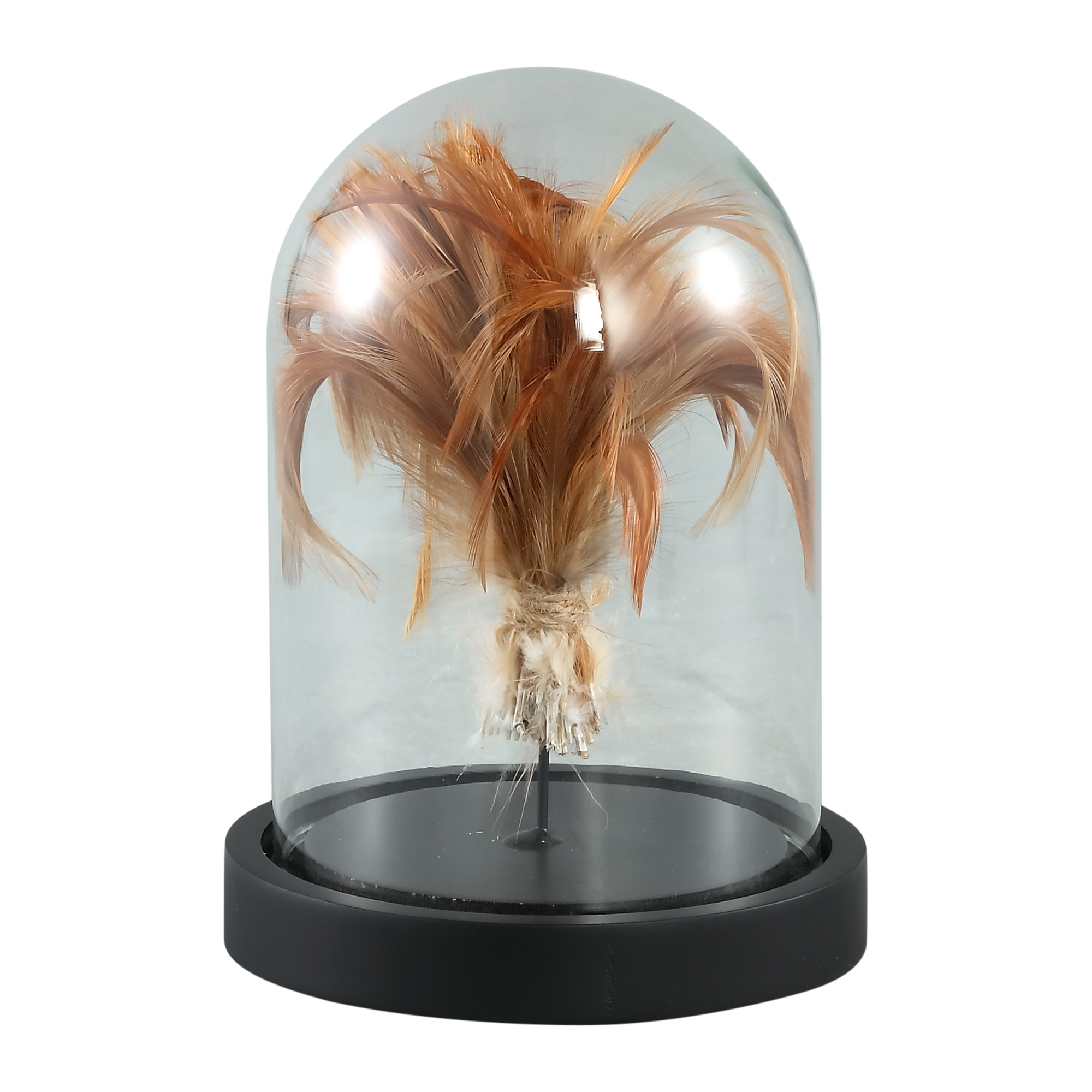 690841 Glasglocke Goldfedern "S" goldbraun