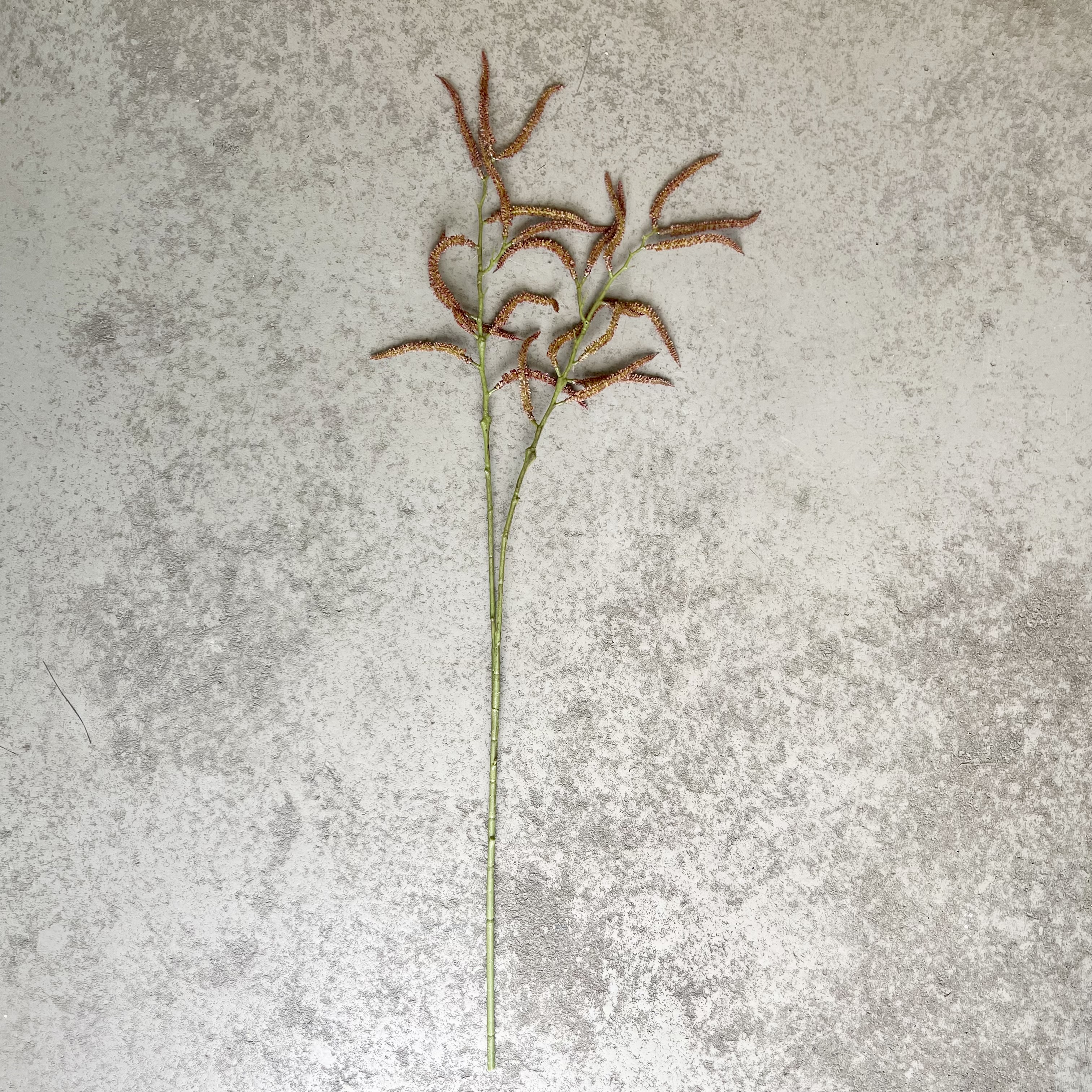 Sauerampfer"Jula",L80cm,dunkelrot