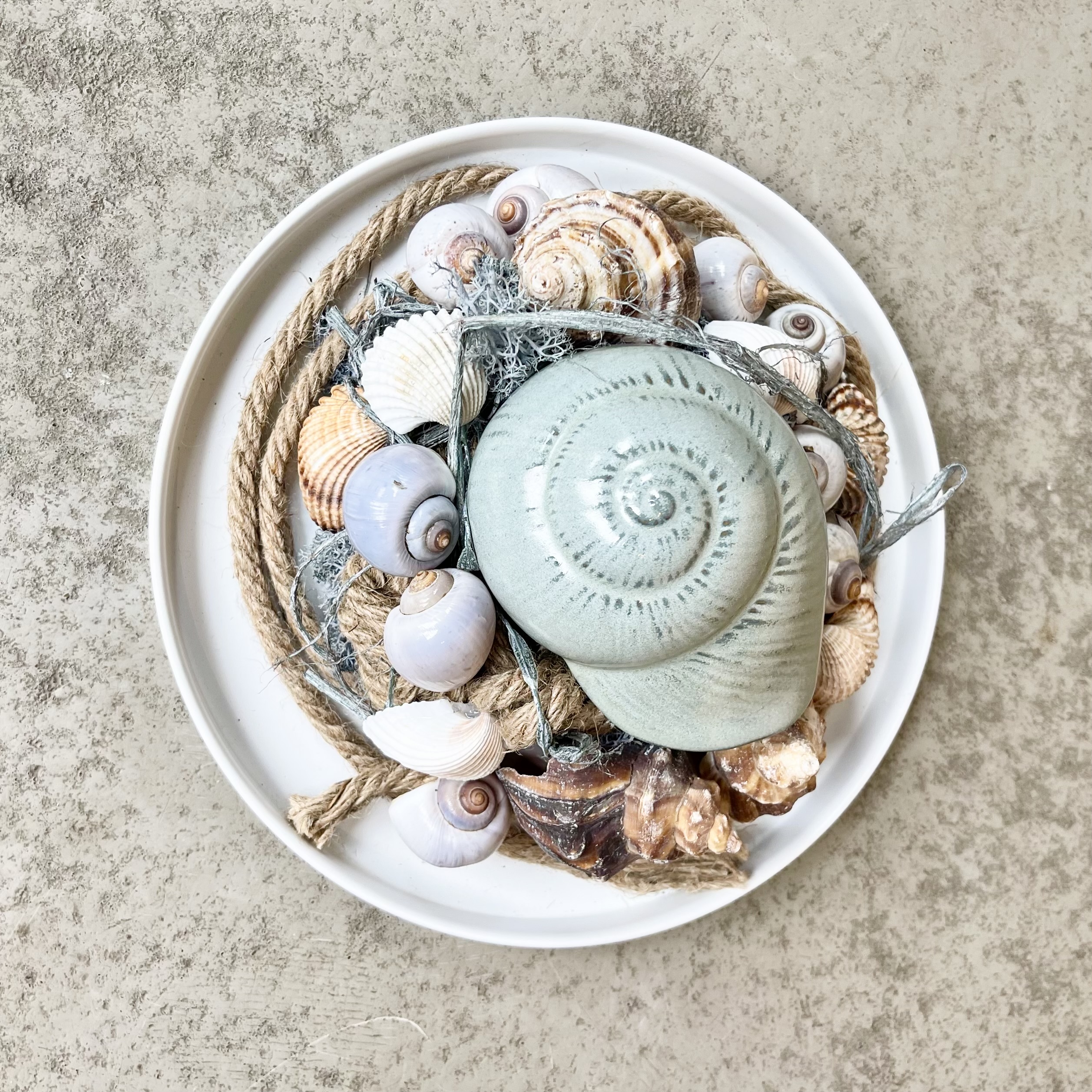 Muscheltablett