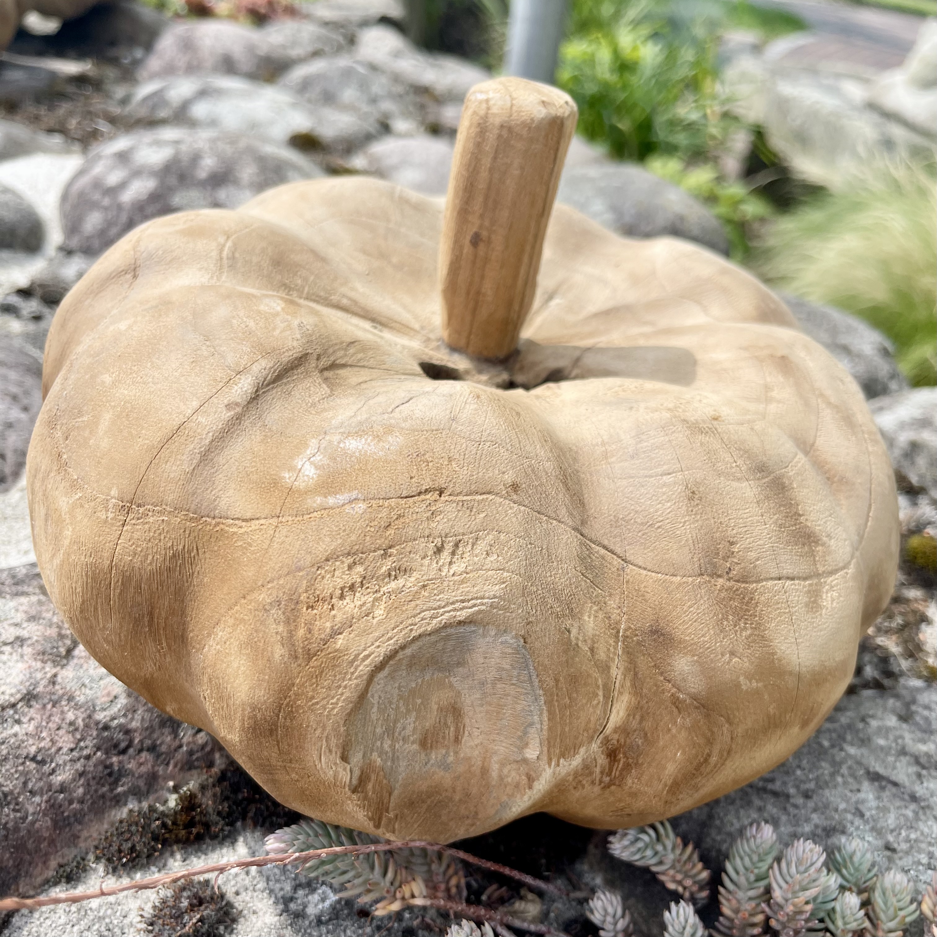 Holz-Kürbis Teak, H18cm, B25cm
