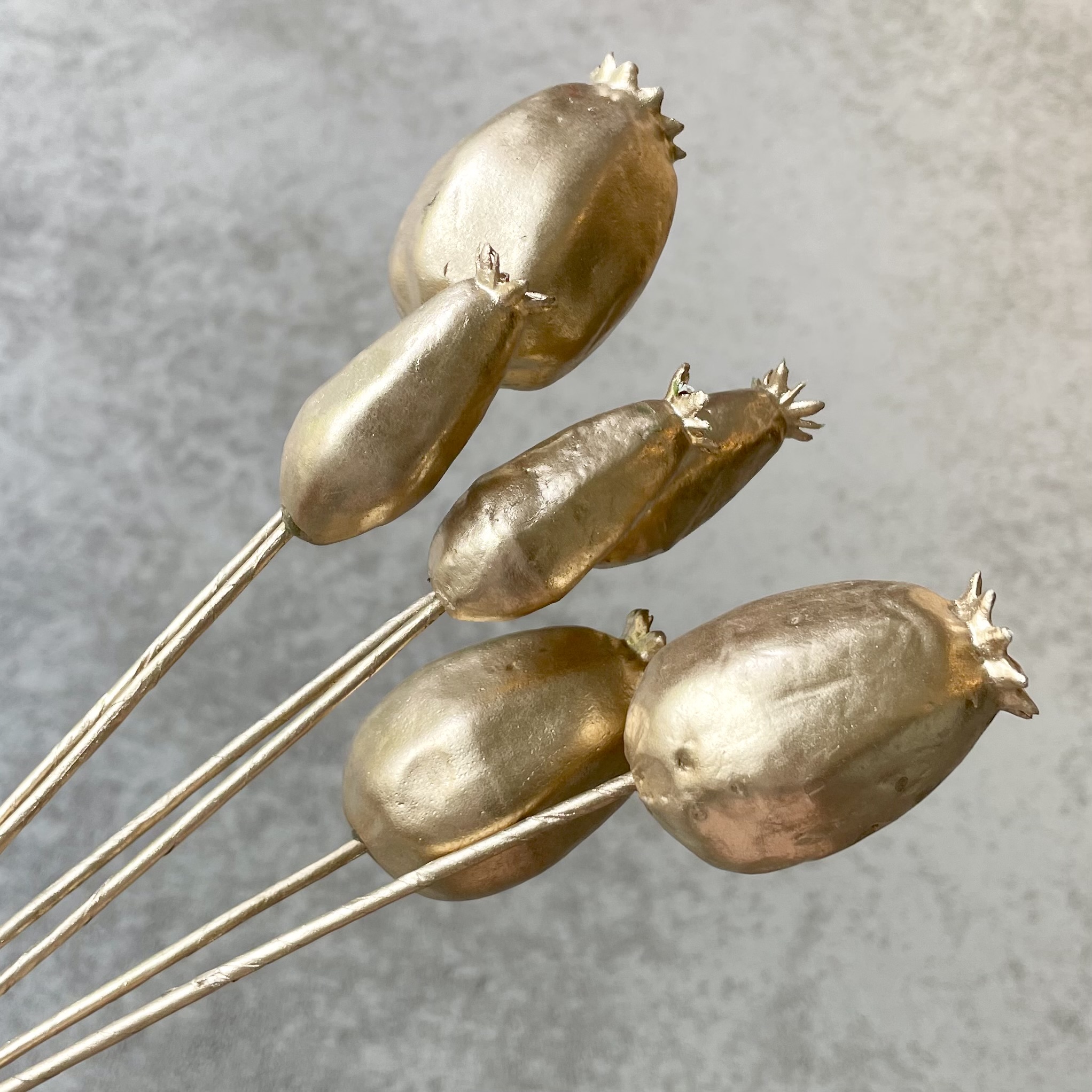 Mohn-Kapsel "Mantua" x6, L41cm, gold