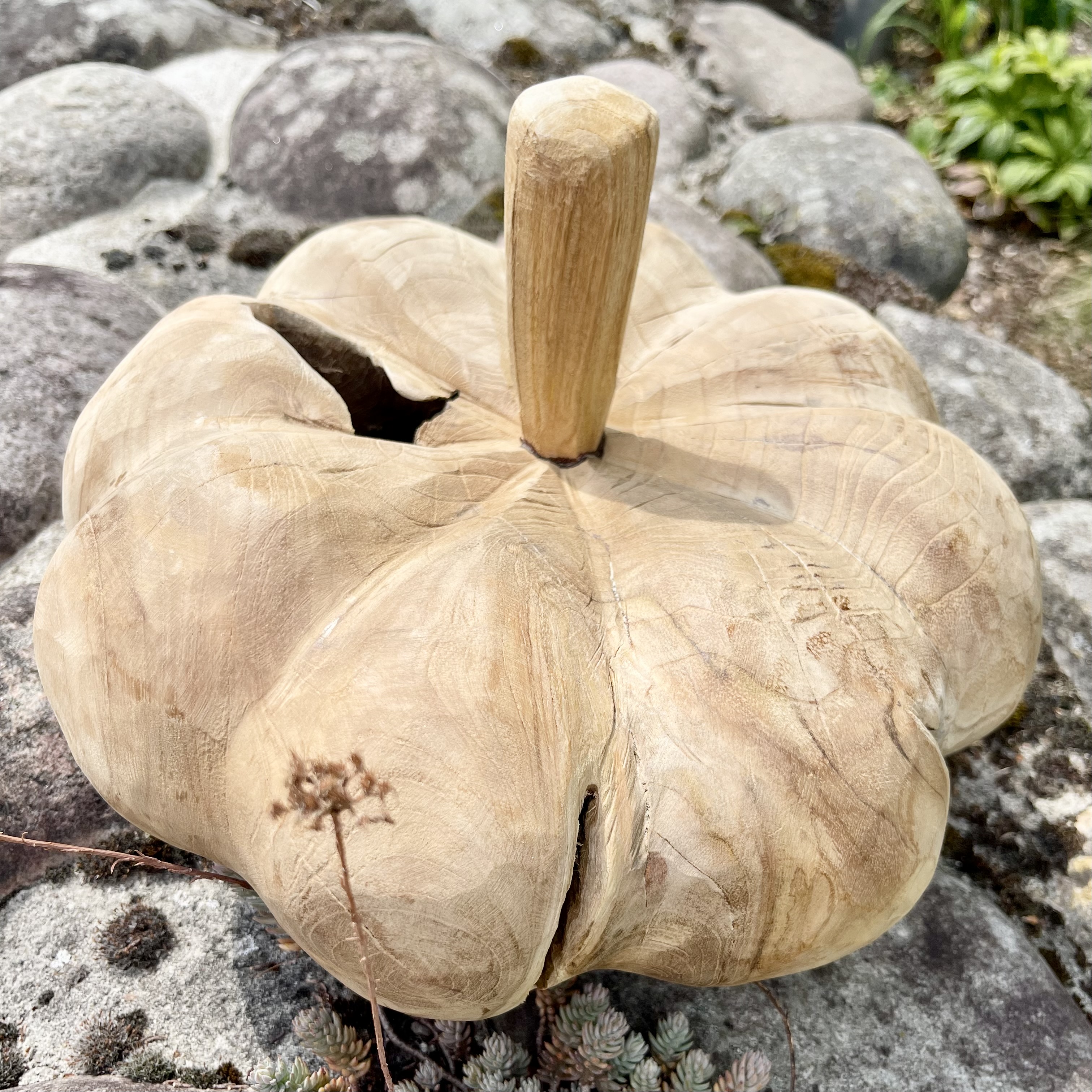 Holz-Kürbis Teak, H20cm, B30cm