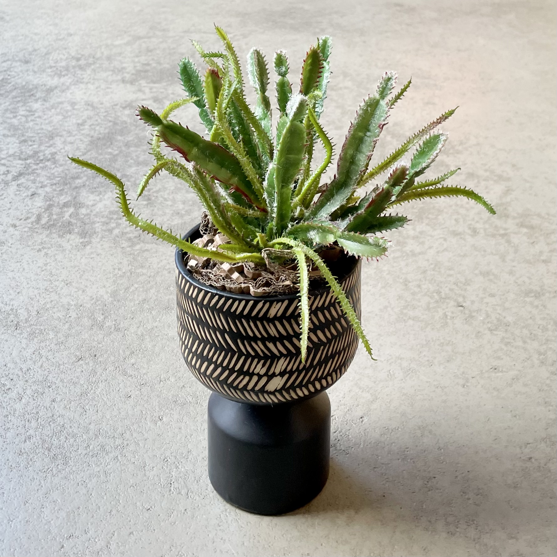 Kunst-Kaktus im Keramik-Kübel D12cm, schwarz/natur/grün