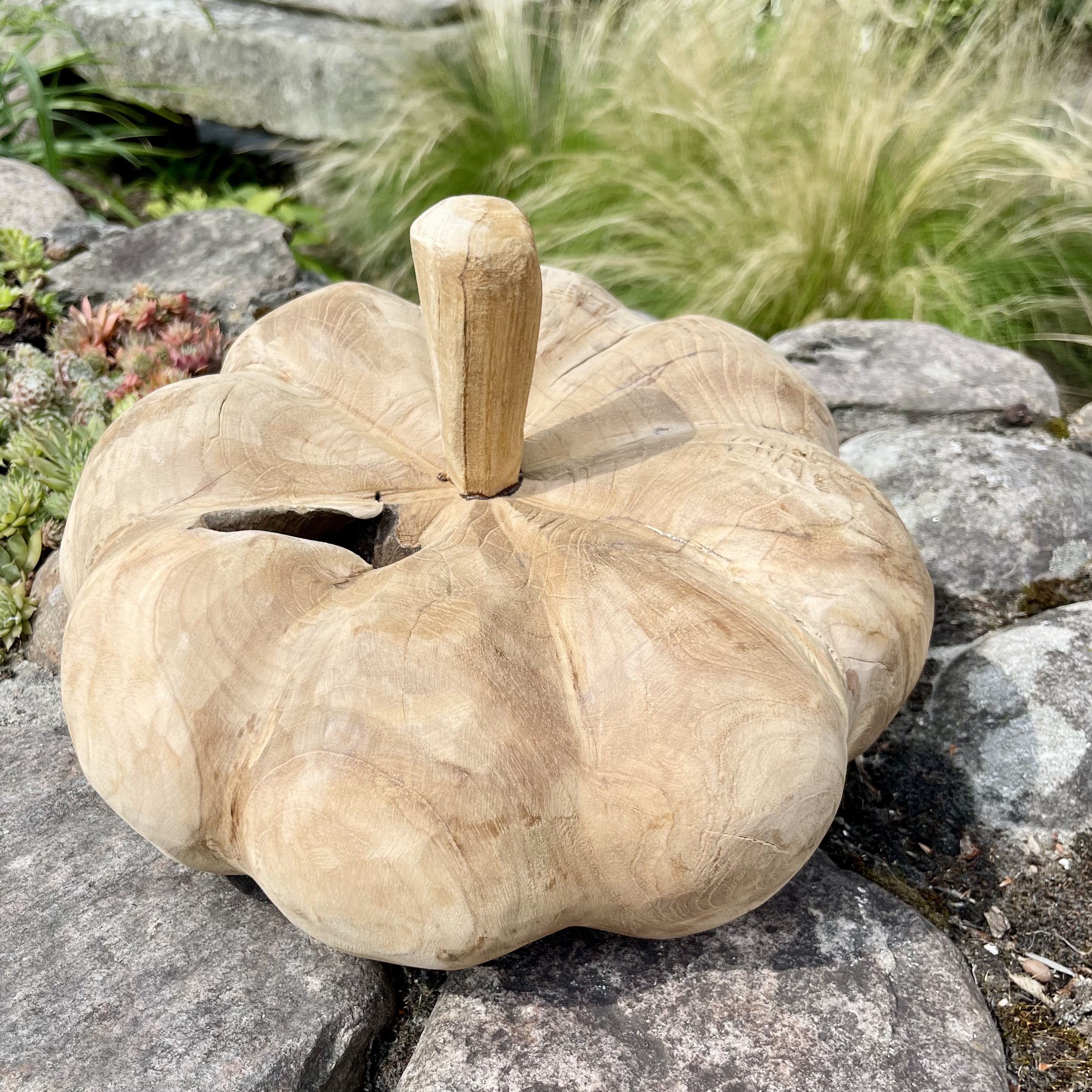 Holz-Kürbis Teak, H20cm, B30cm