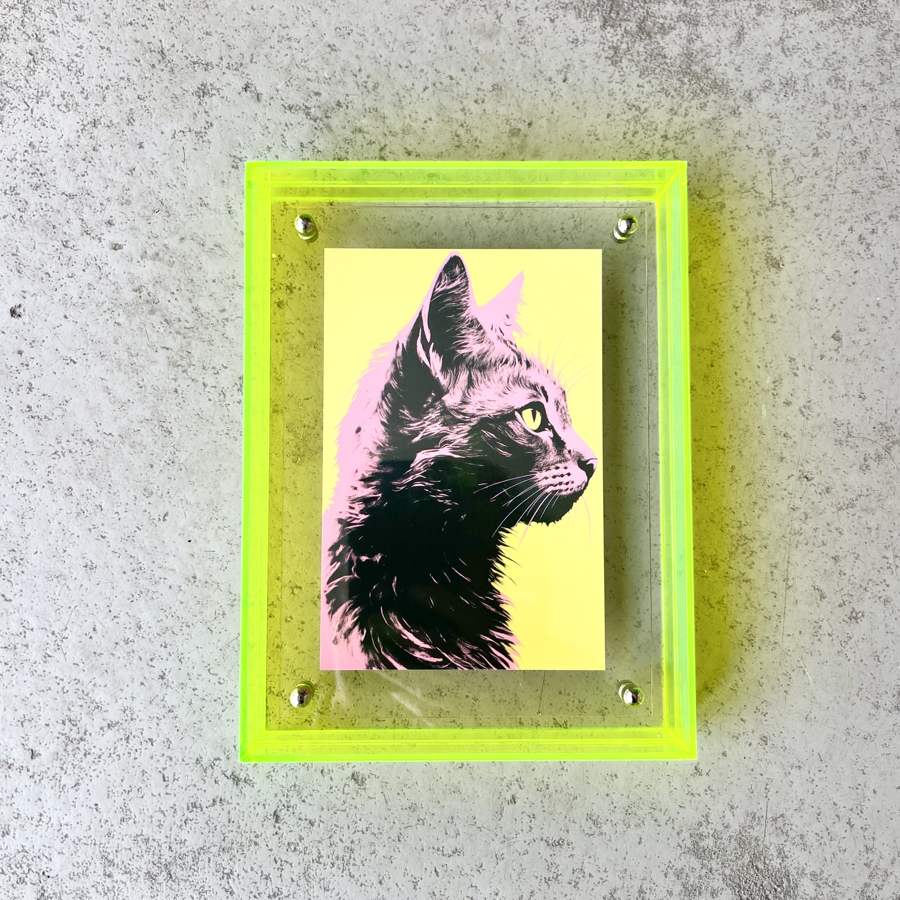 Bilderrahmen Acryl, "Katze" 10 mal 15cm, gelb