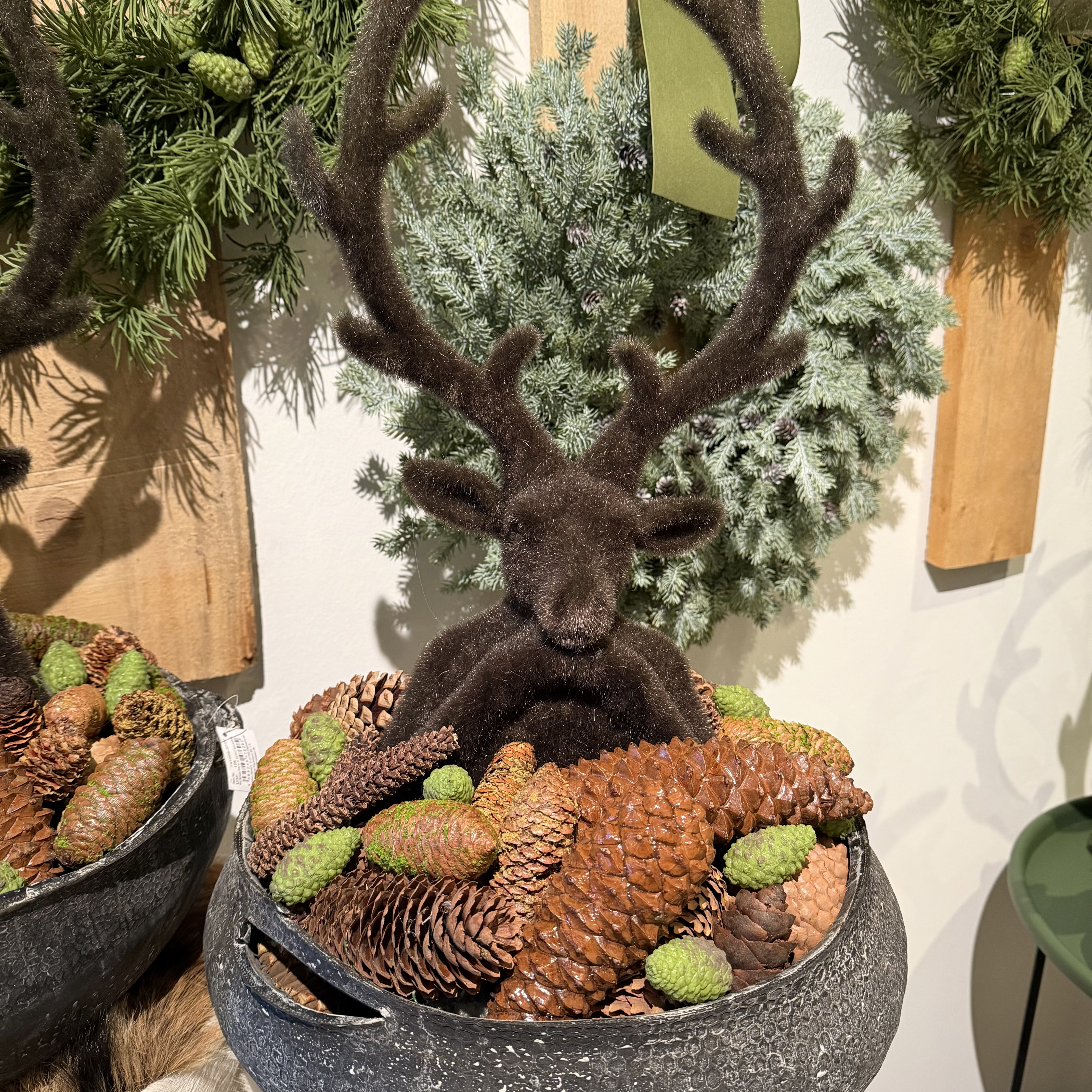 Hirsch in Zapfenschale grün