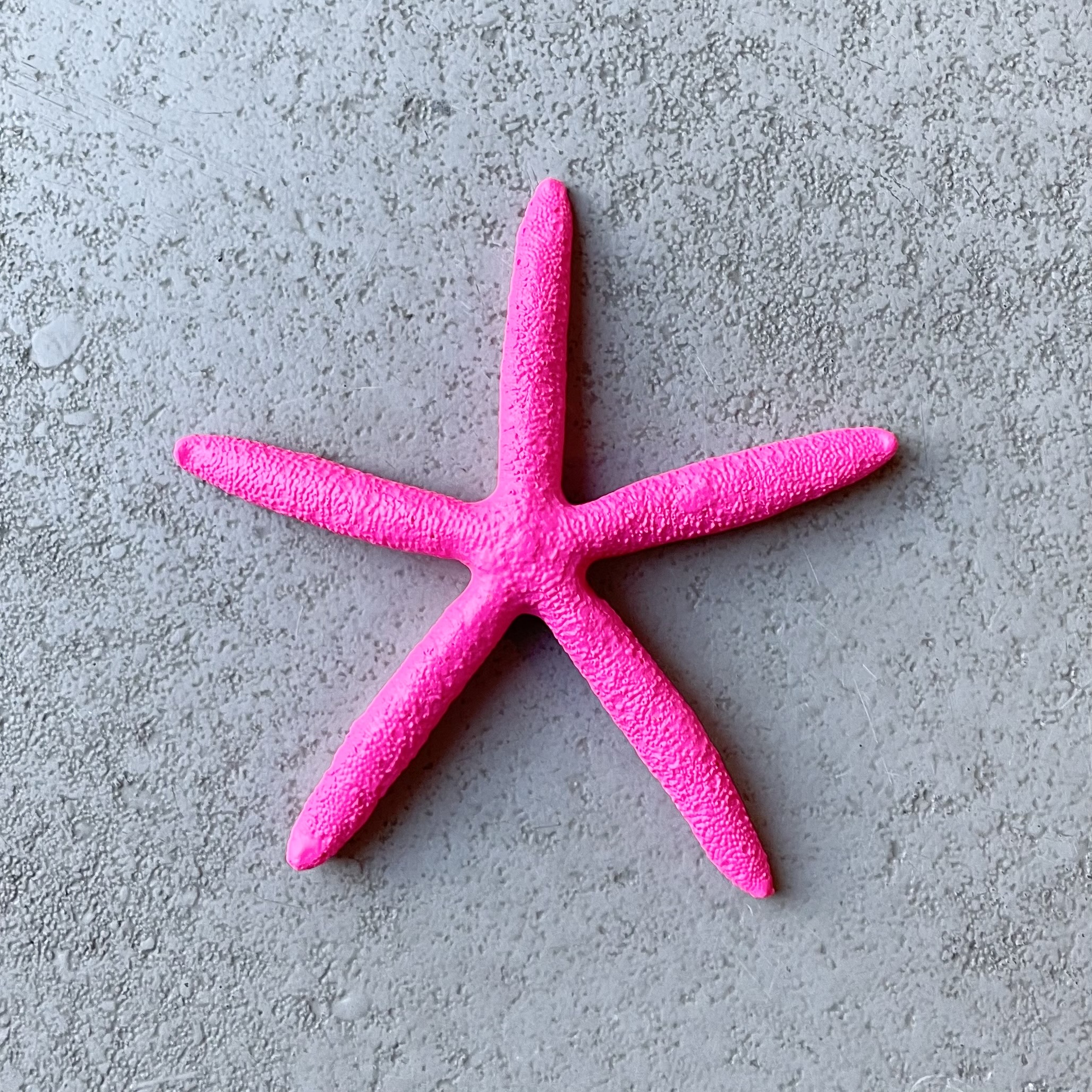 Poly-Seestern "Agon" D11,5cm, pink