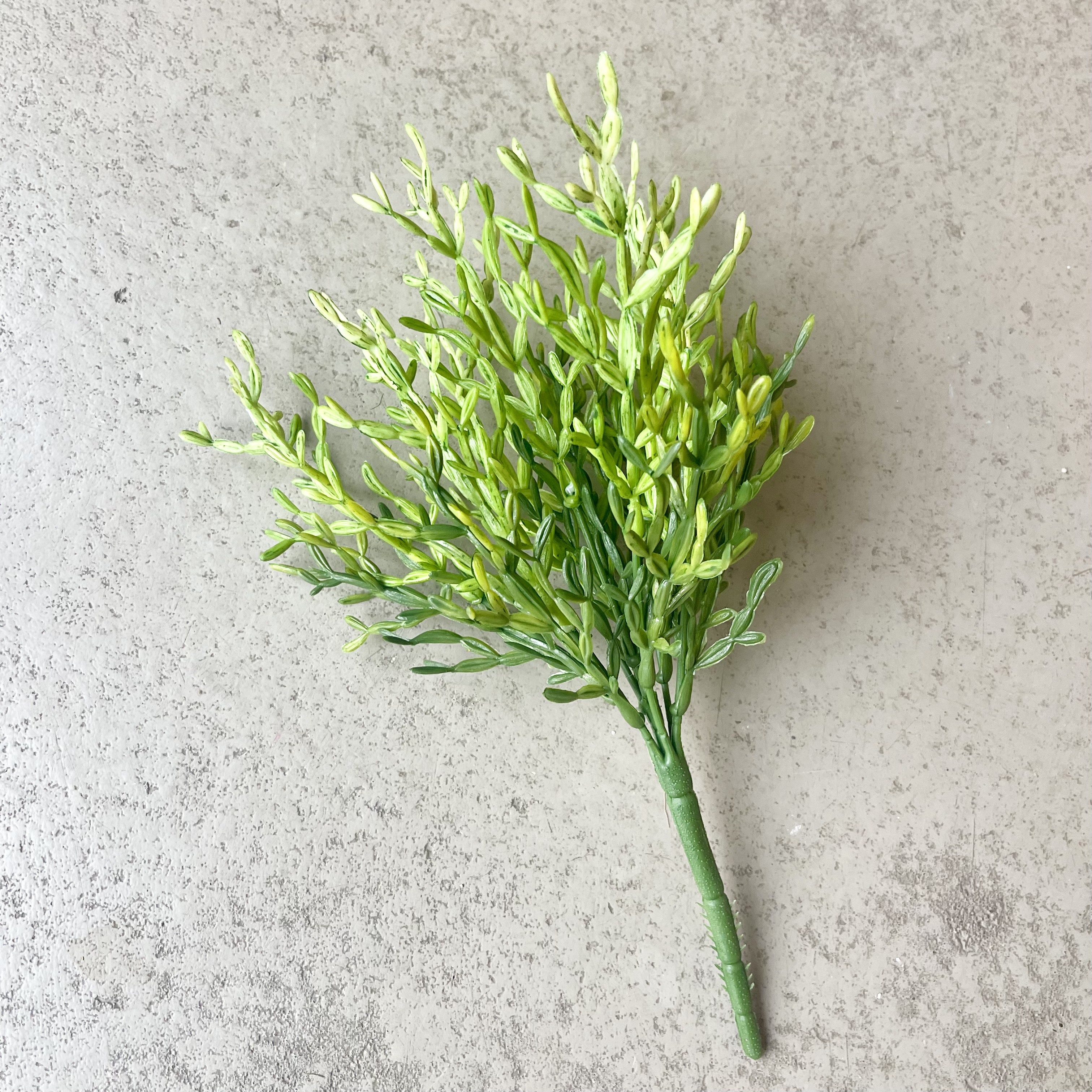 Queller"Salt",L29cm, grün