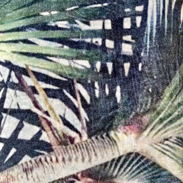 IMG_2157qvrQxwMbRVvvs