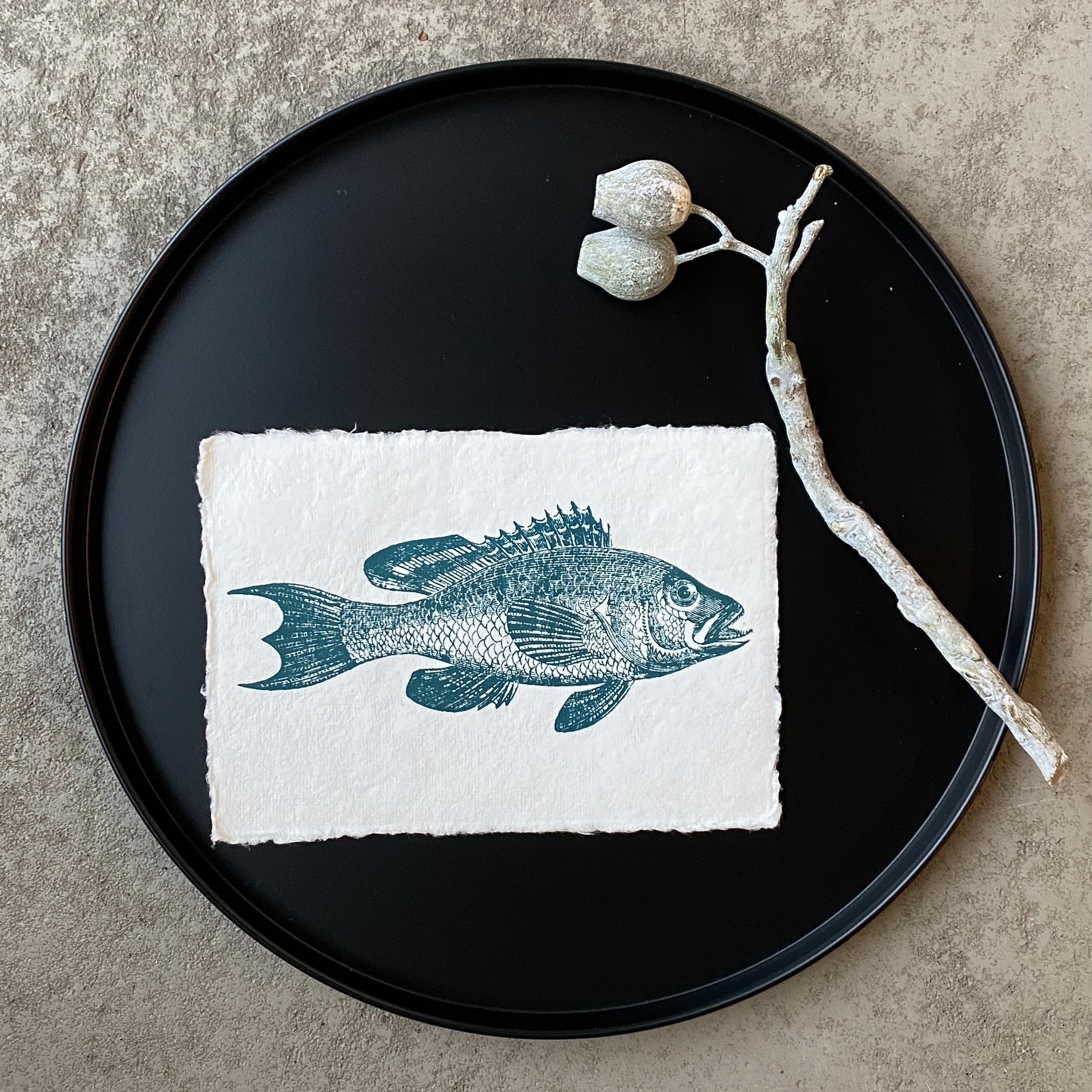 Kunstdruck "Barsch", petrol