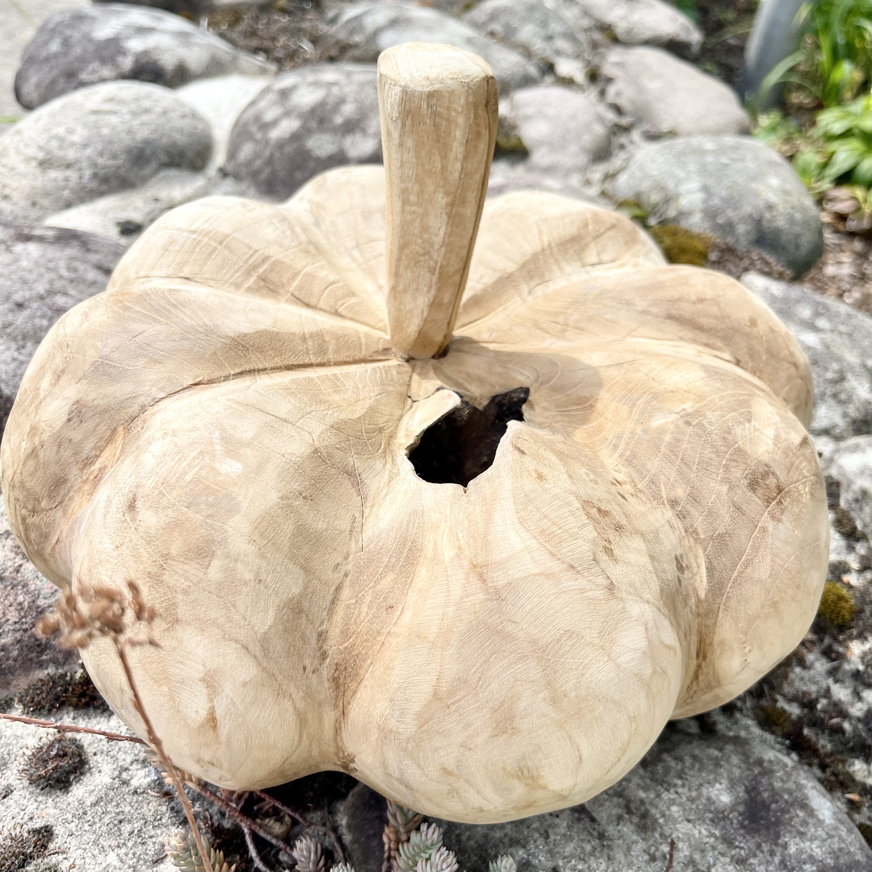 Holz-Kürbis Teak, H20cm, B30cm