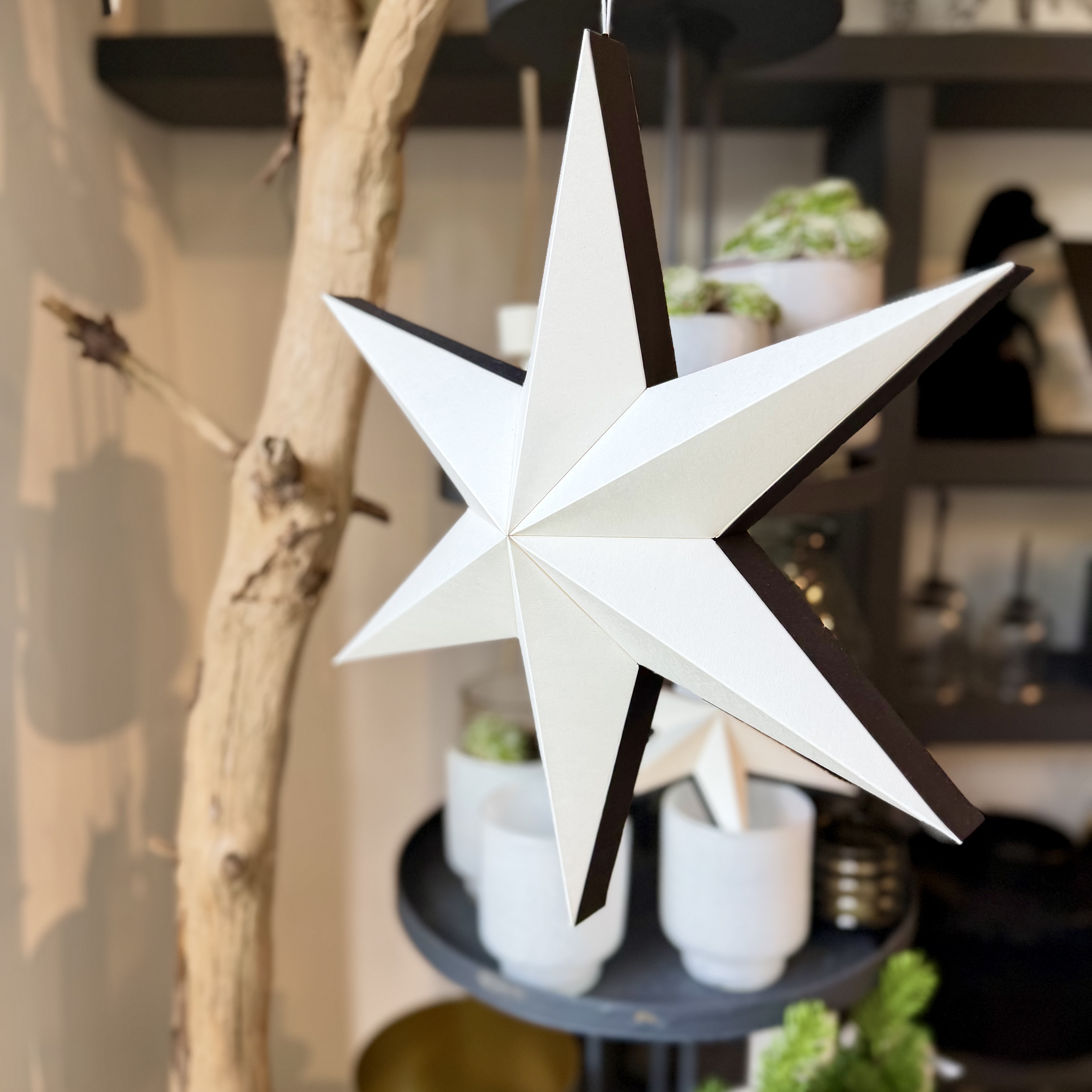 Papier Stern"Haru"z.H.,D40cm,cre/sw