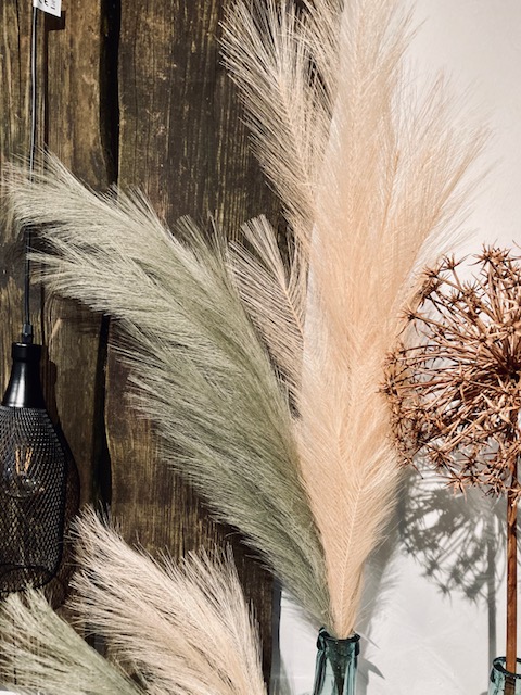 Pampas, Deko-Zweig, puder M