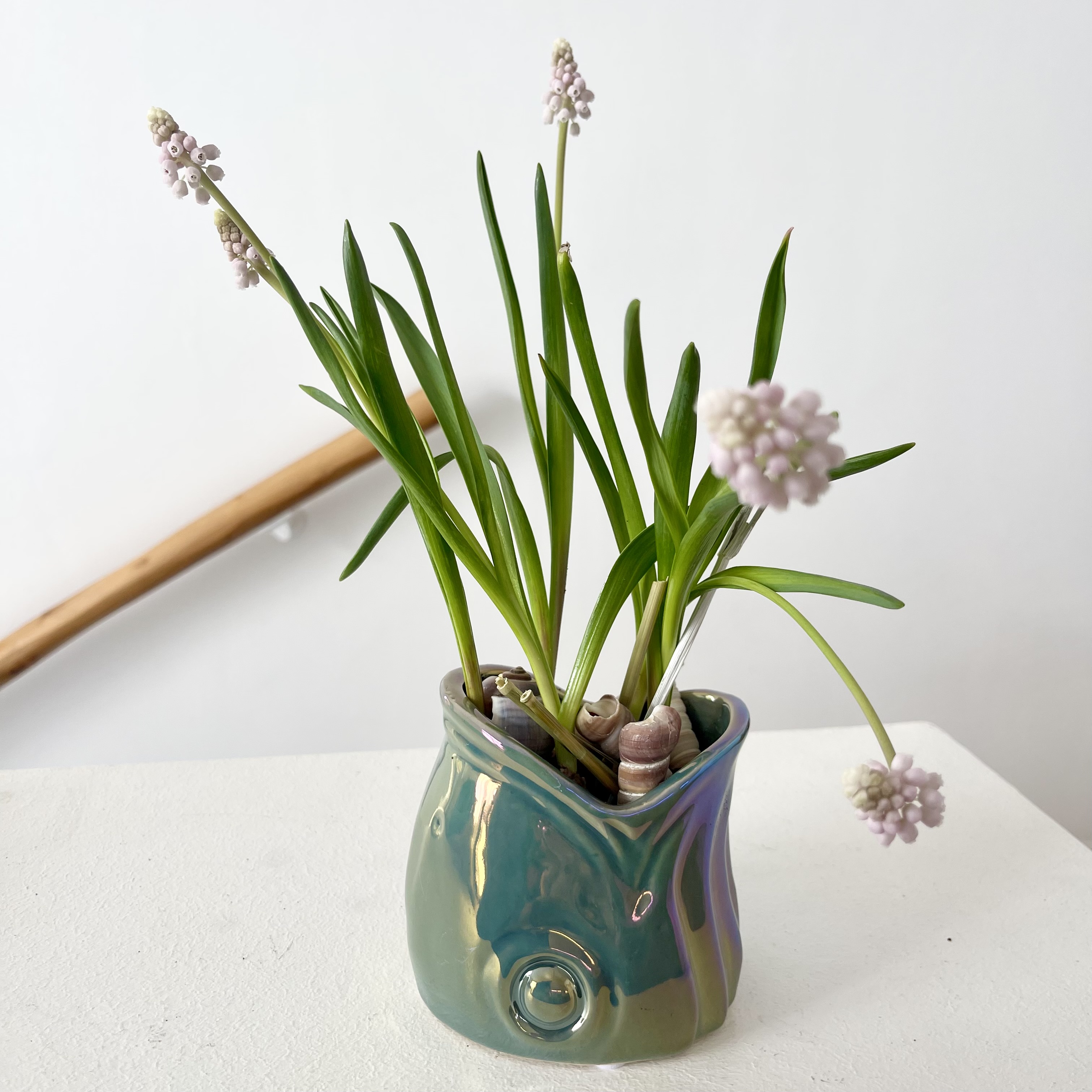 Ker.Kb.Fischk."Ägäis"2FD10cm, blau