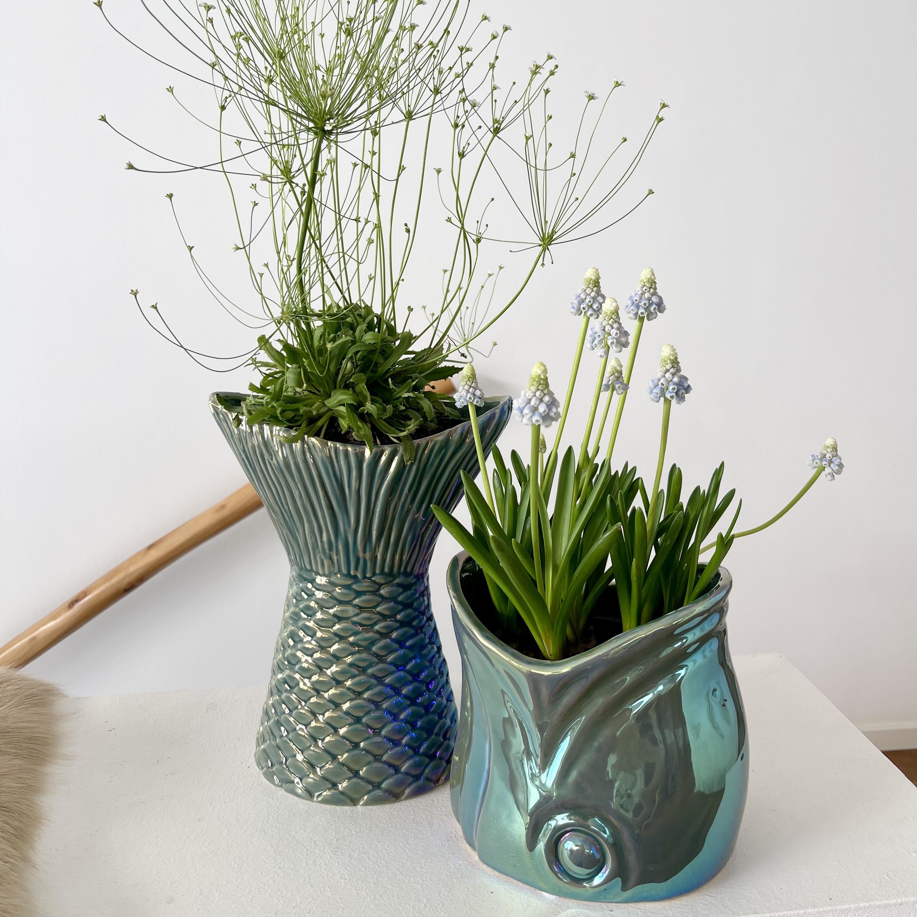 Ker.Kb.Fischk."Ägäis"2FD10cm, blau