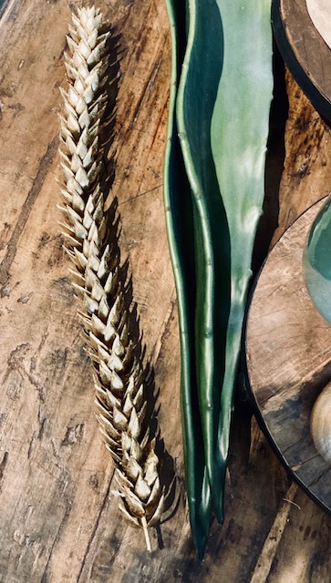 IMG_7326mk9NEck5aRiEC