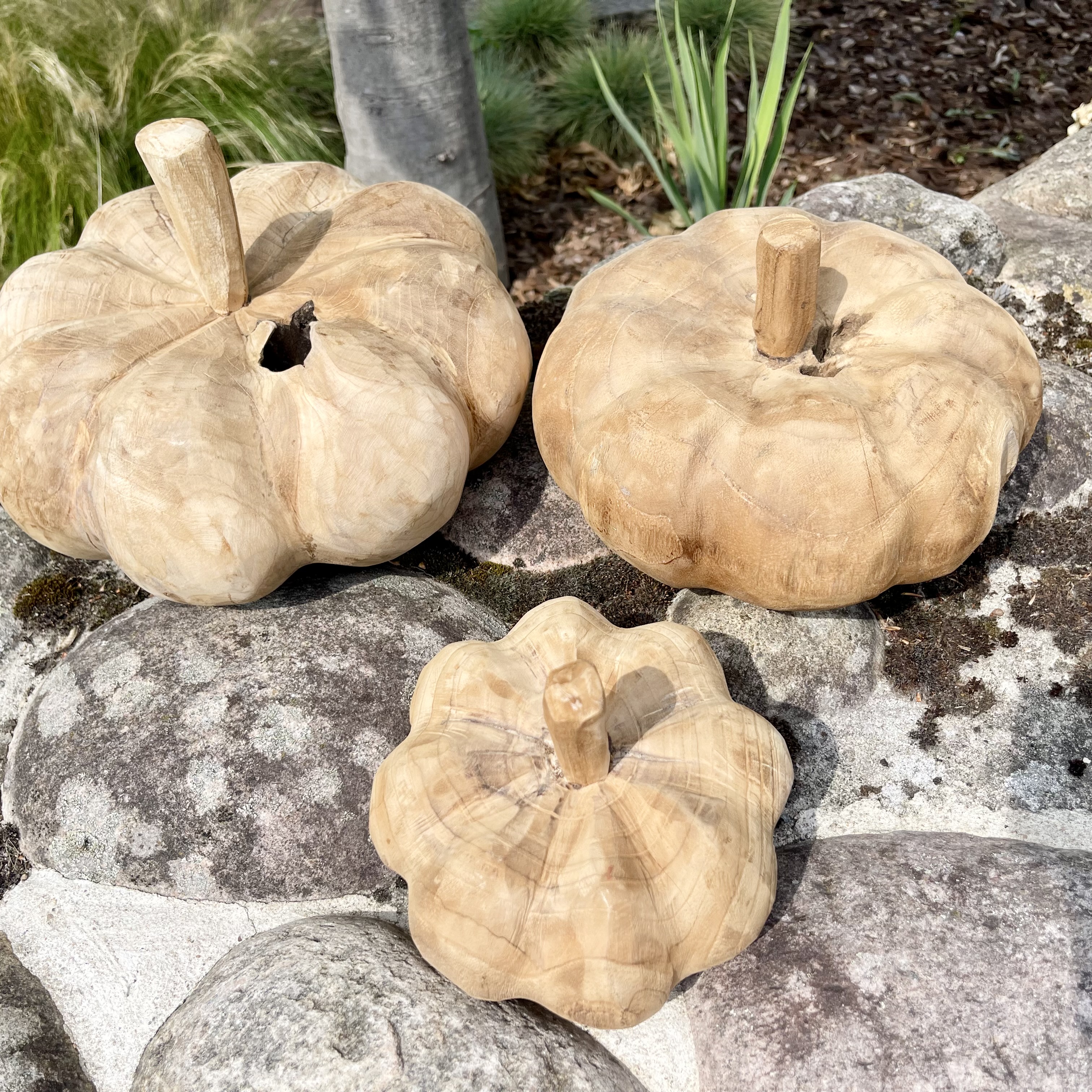 Holz-Kürbis Teak, H20cm, B30cm