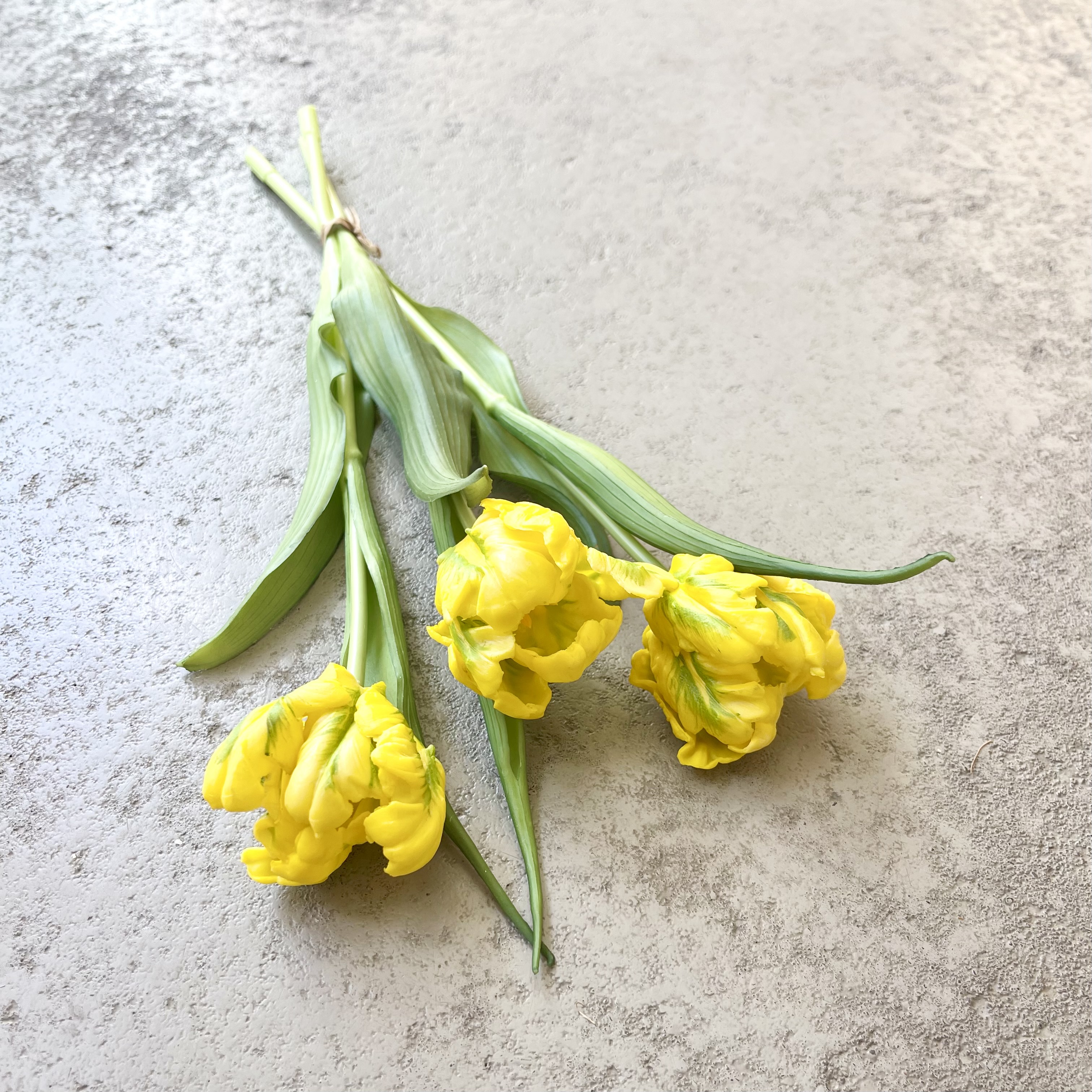 Papageien Tulpe gelb