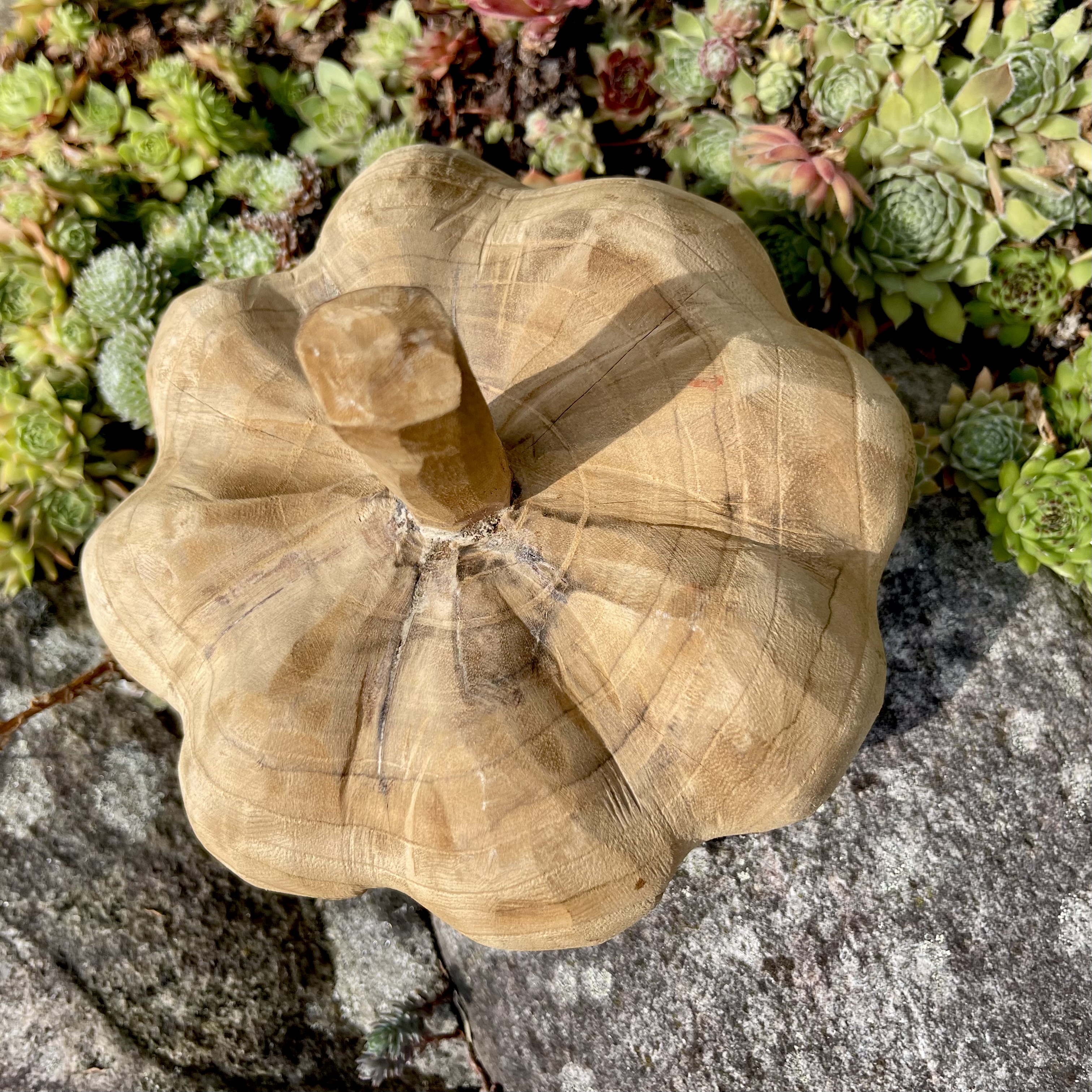 Holz-Kürbis Teak, H15cm, B20cm