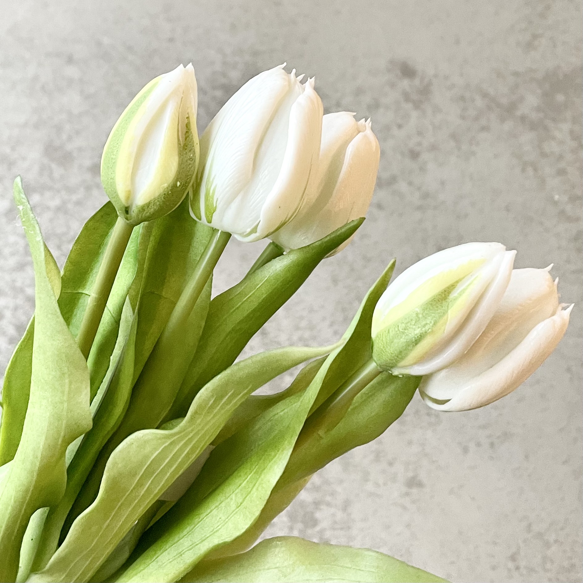 Tulpenbund "Camilla" x5, L30cm, weiß