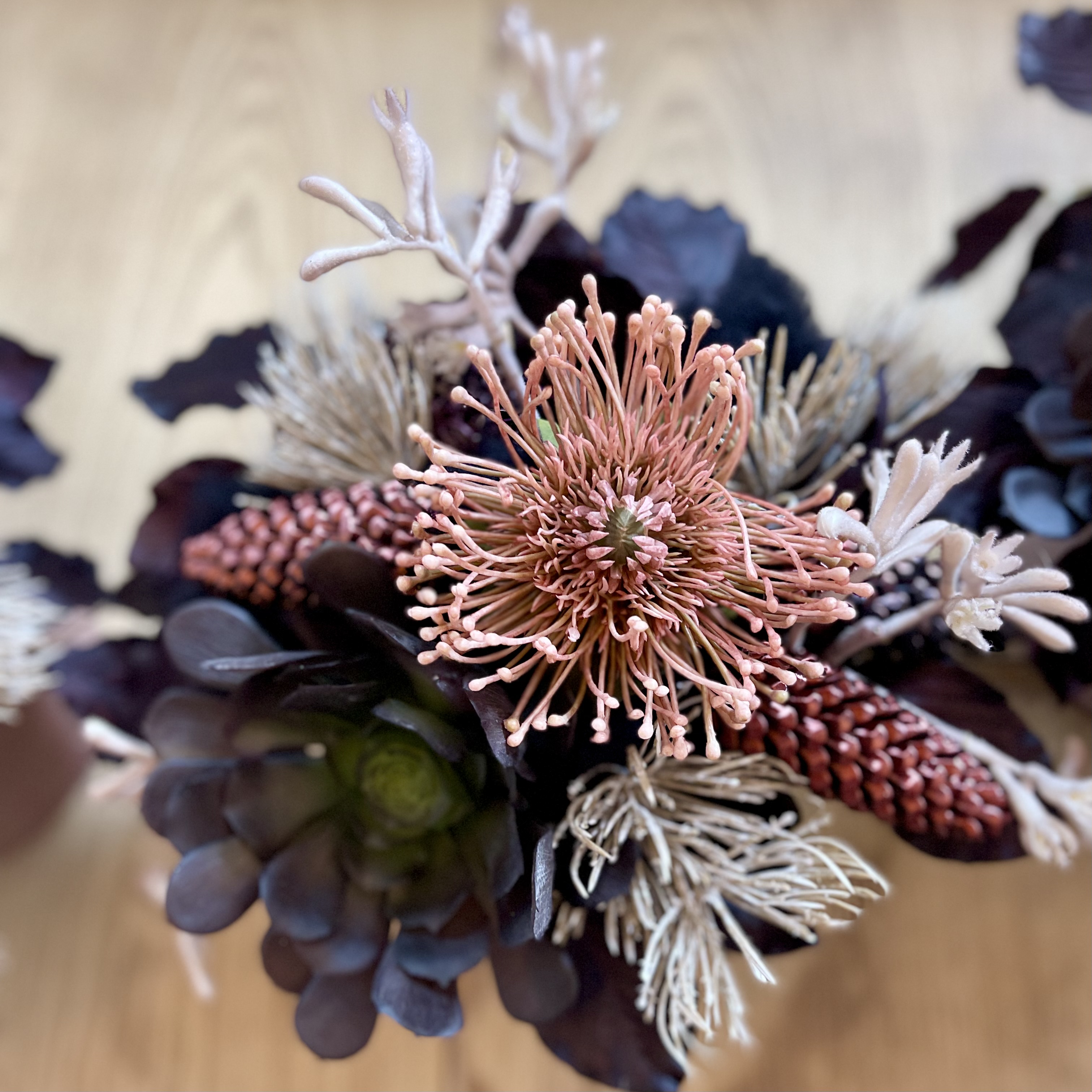 Protea Topf Terra