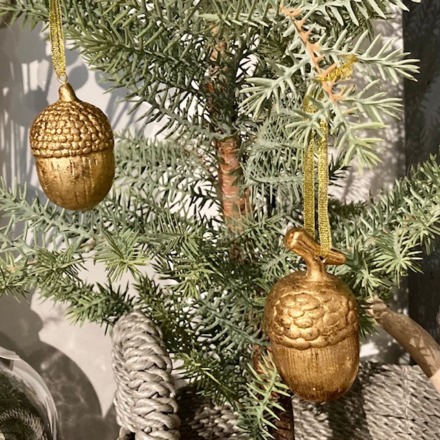 IMG_9501c47WCH9pZqgw4