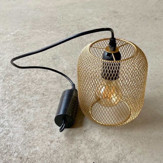 IMG_9490PsVexPUS7Hzwg