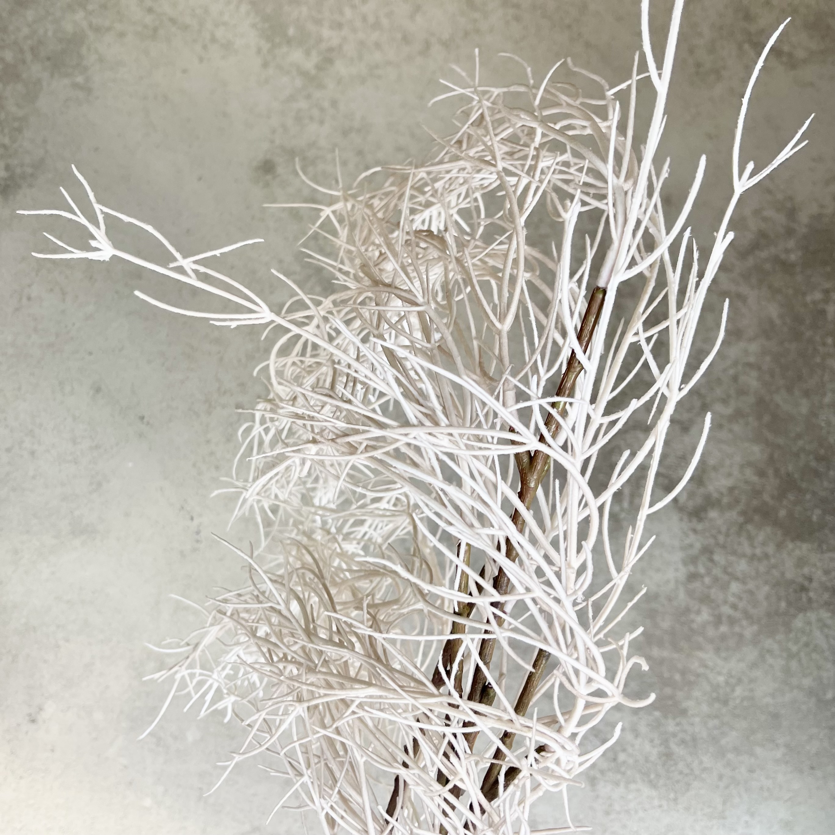 Dekozweig"Fips",L175cm,creme