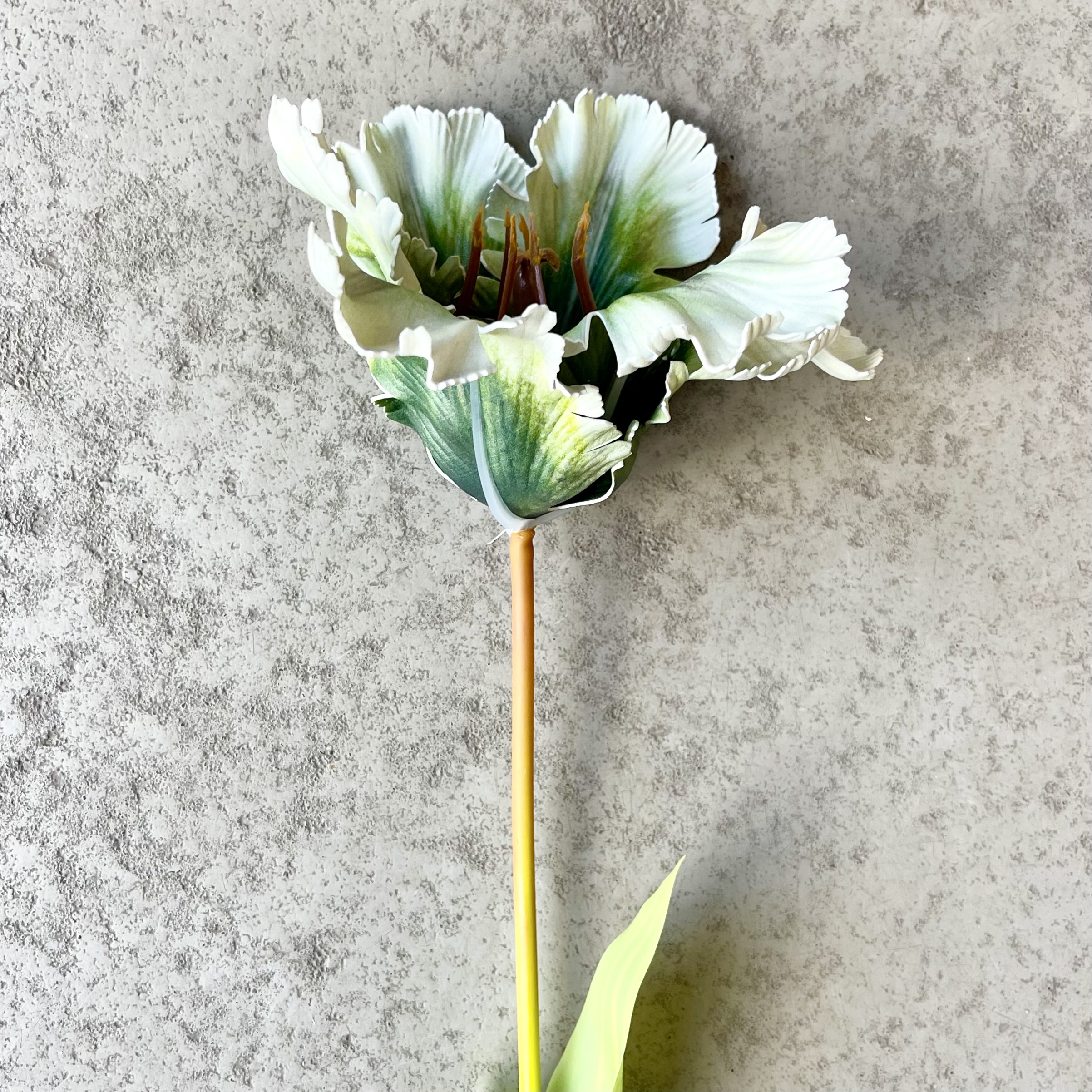 Tulpe-Langstiel L70cm, grün