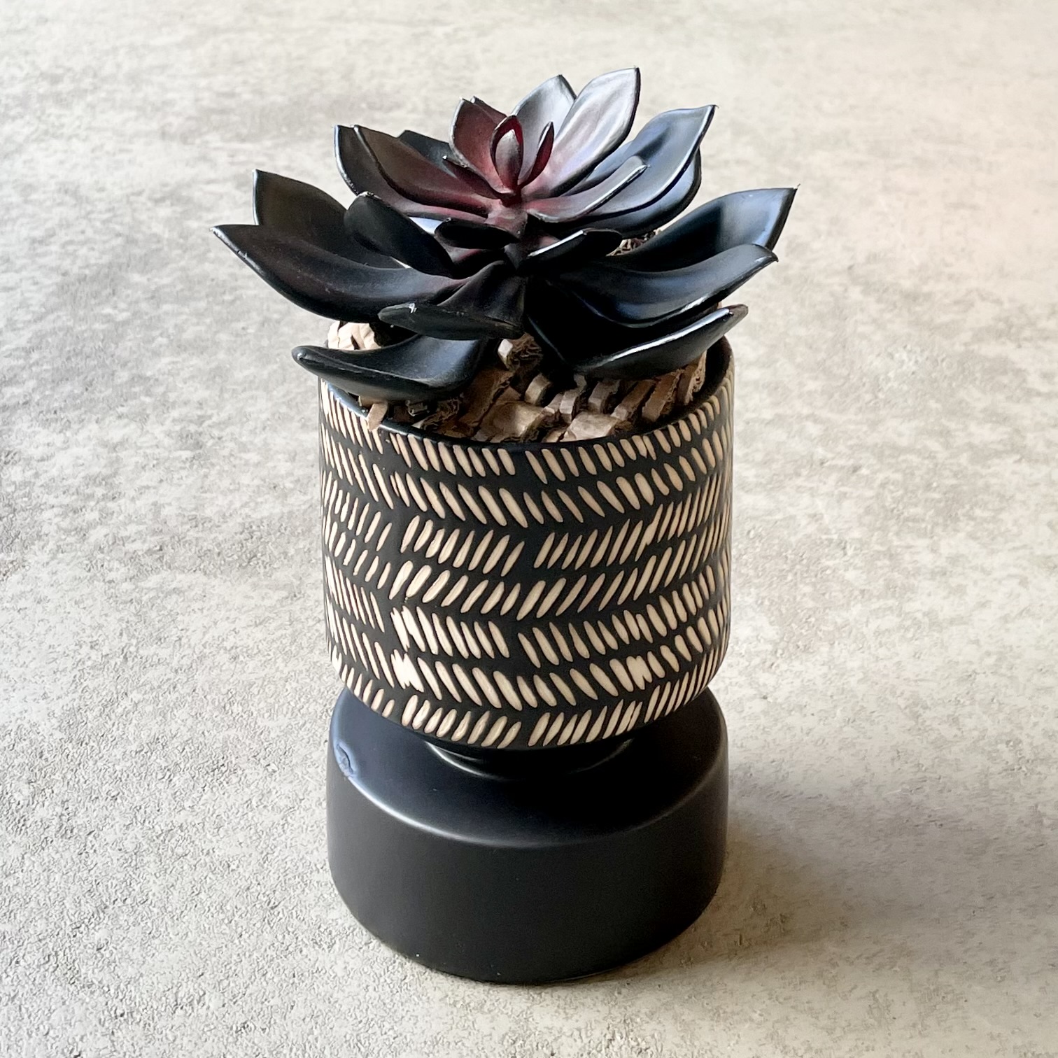 Sukkulente im Keramik-Kübel D12cm, schwarz/natur/bordeaux
