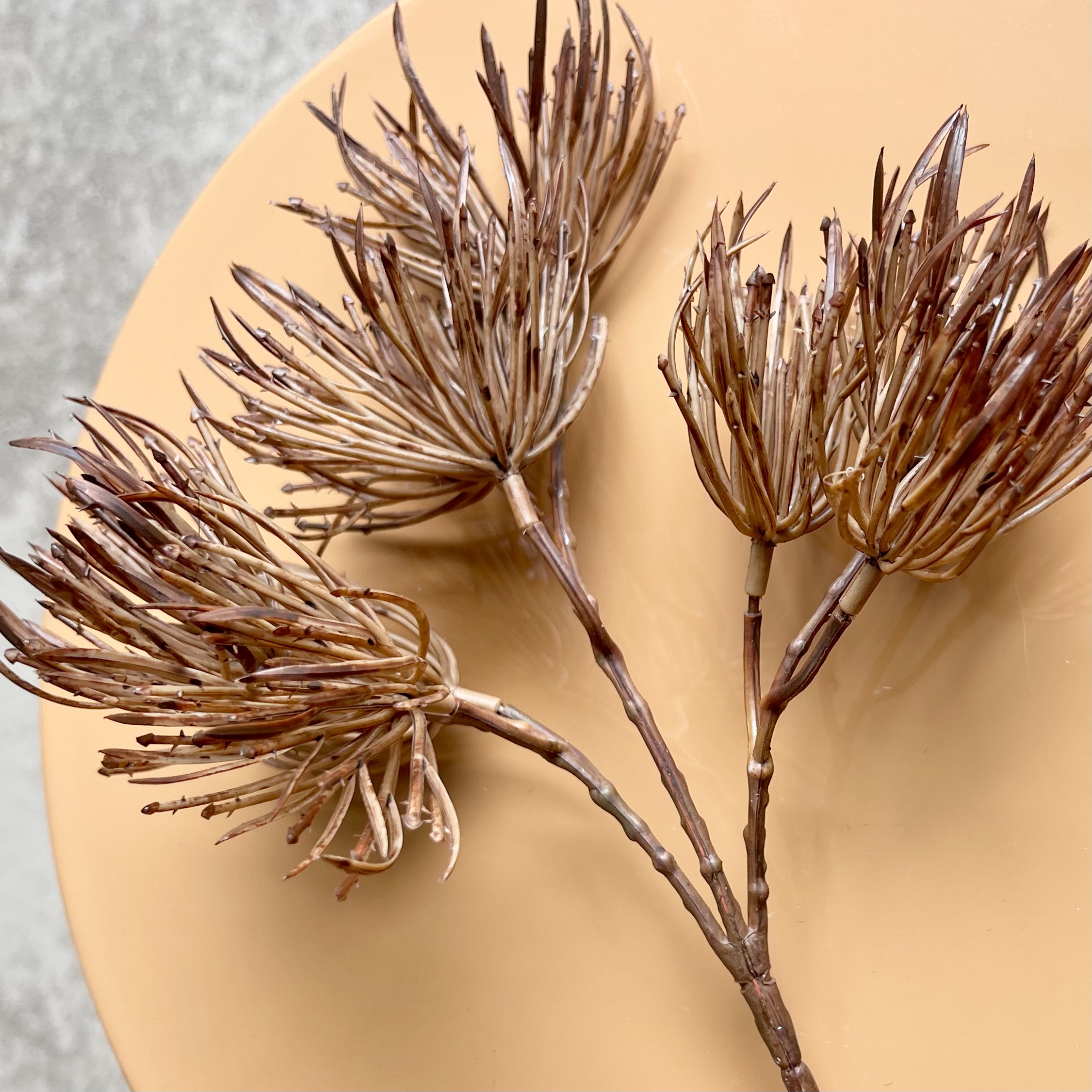 Wildgrasbusch"Enzo",L24cm,braun